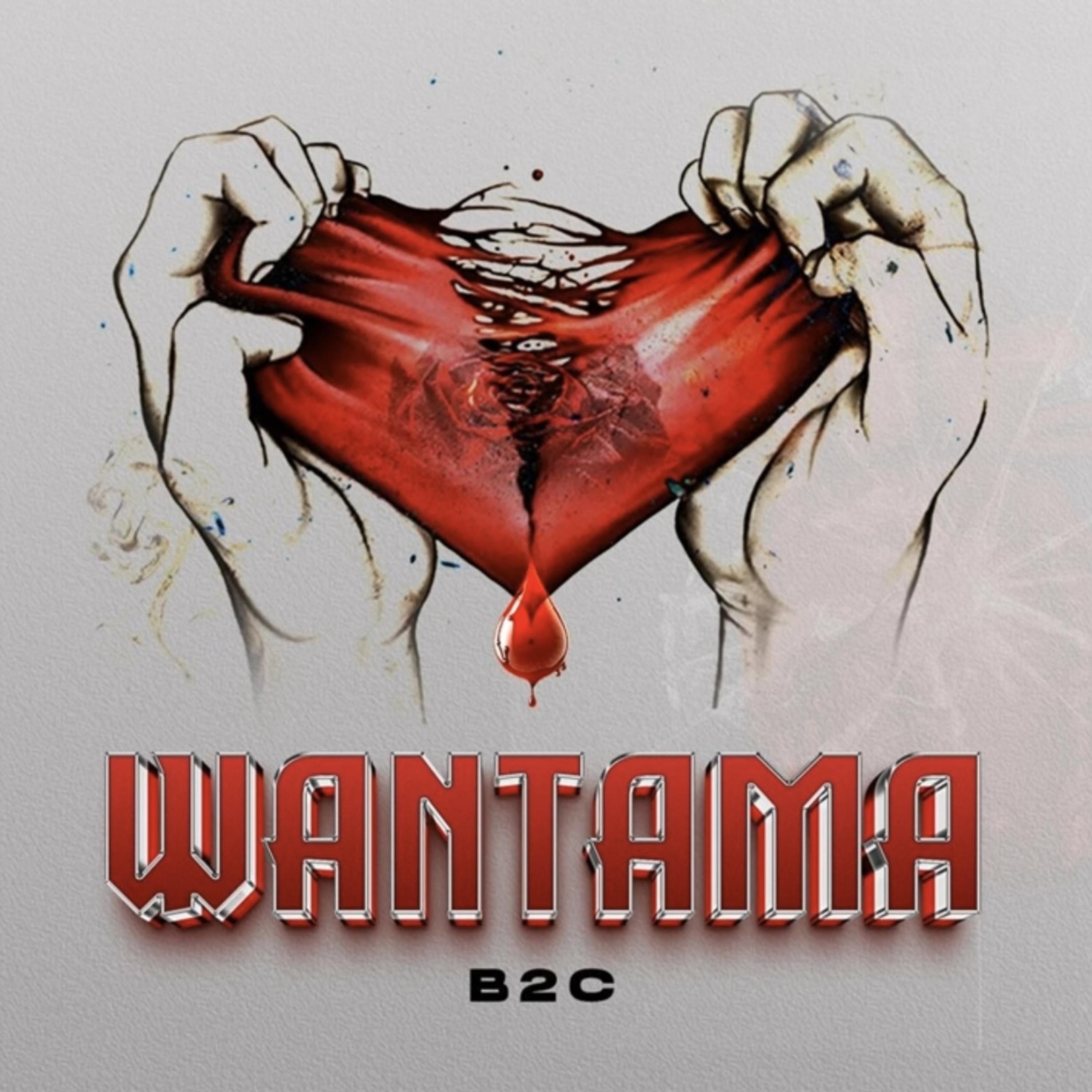 Постер альбома Wantama