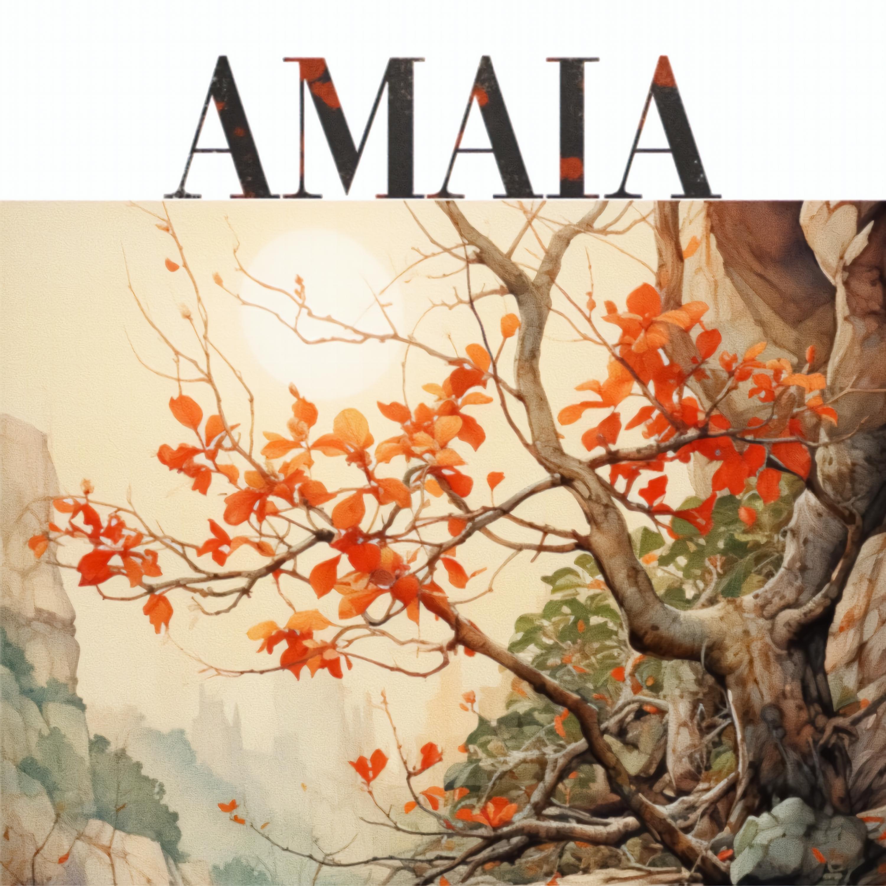 Постер альбома amaia