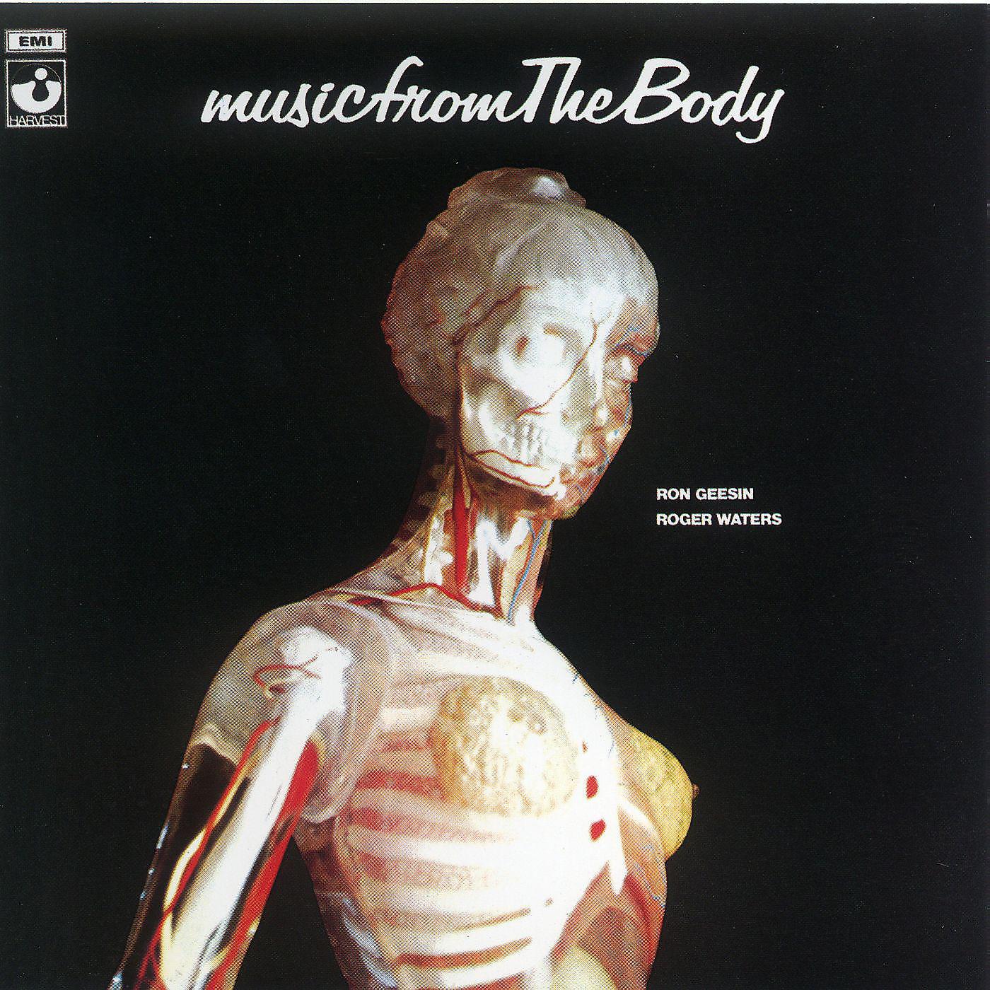 Постер альбома Music From The Body