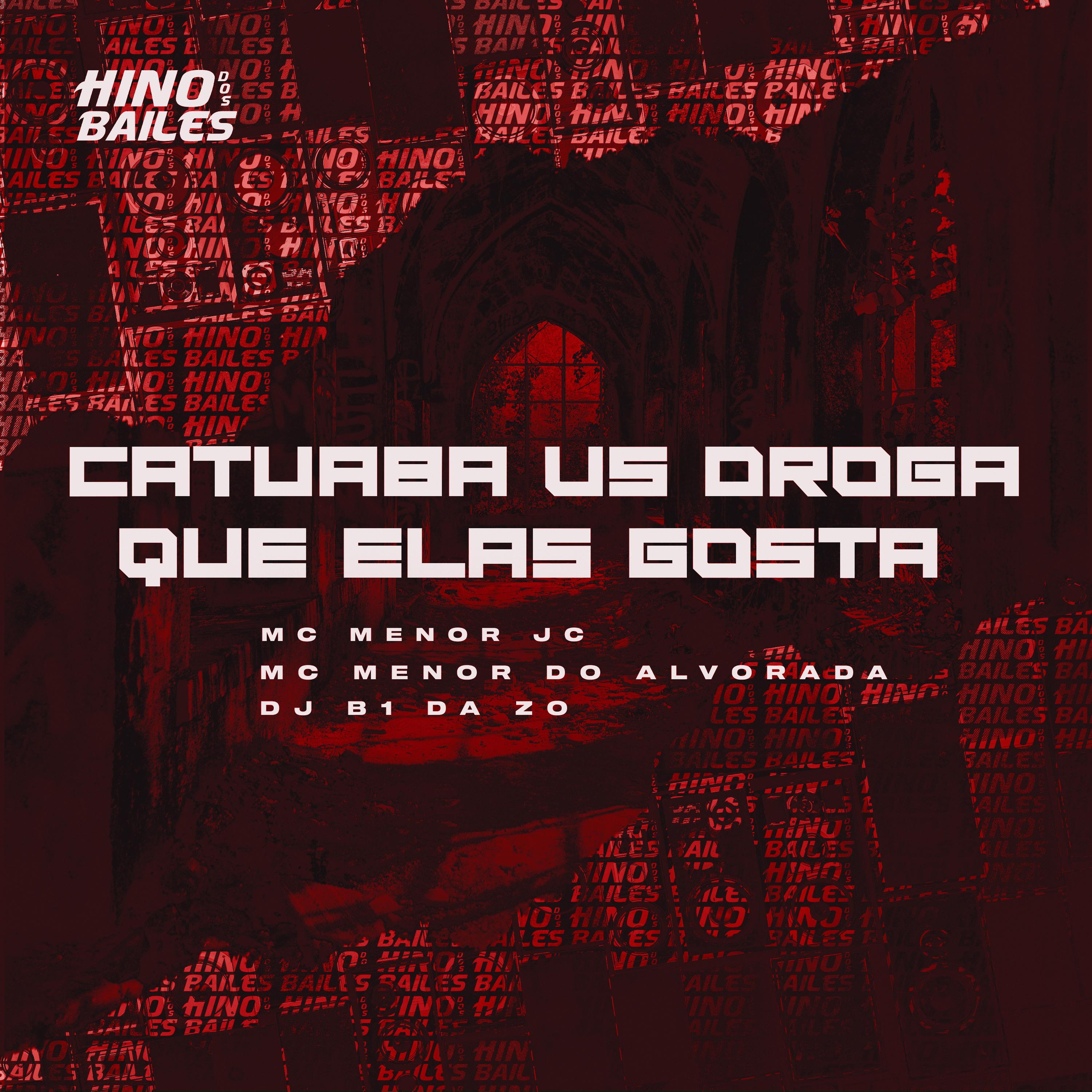 Постер альбома Catuaba Vs Droga Que Elas Gosta