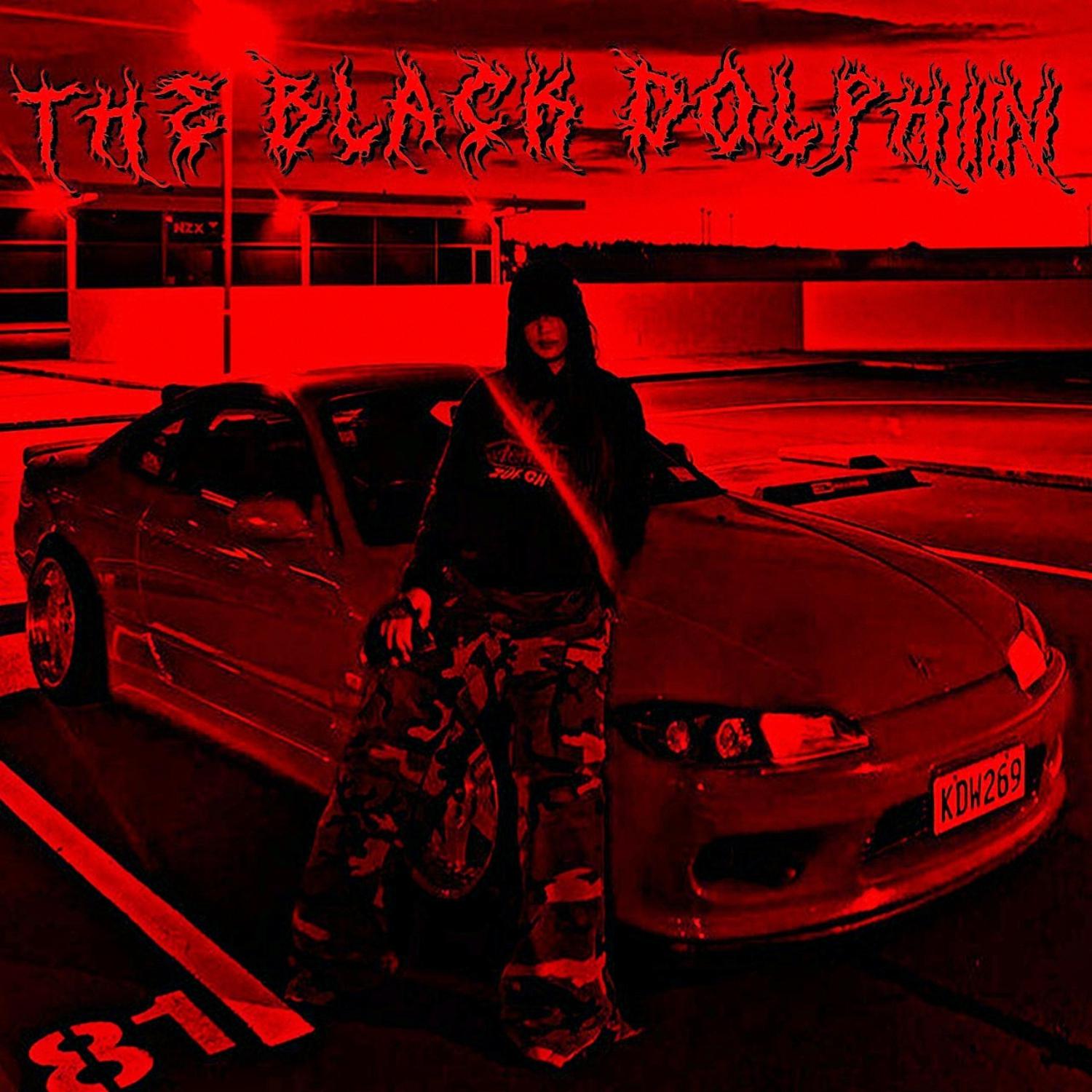 Постер альбома THE BLACK DOLPHIN