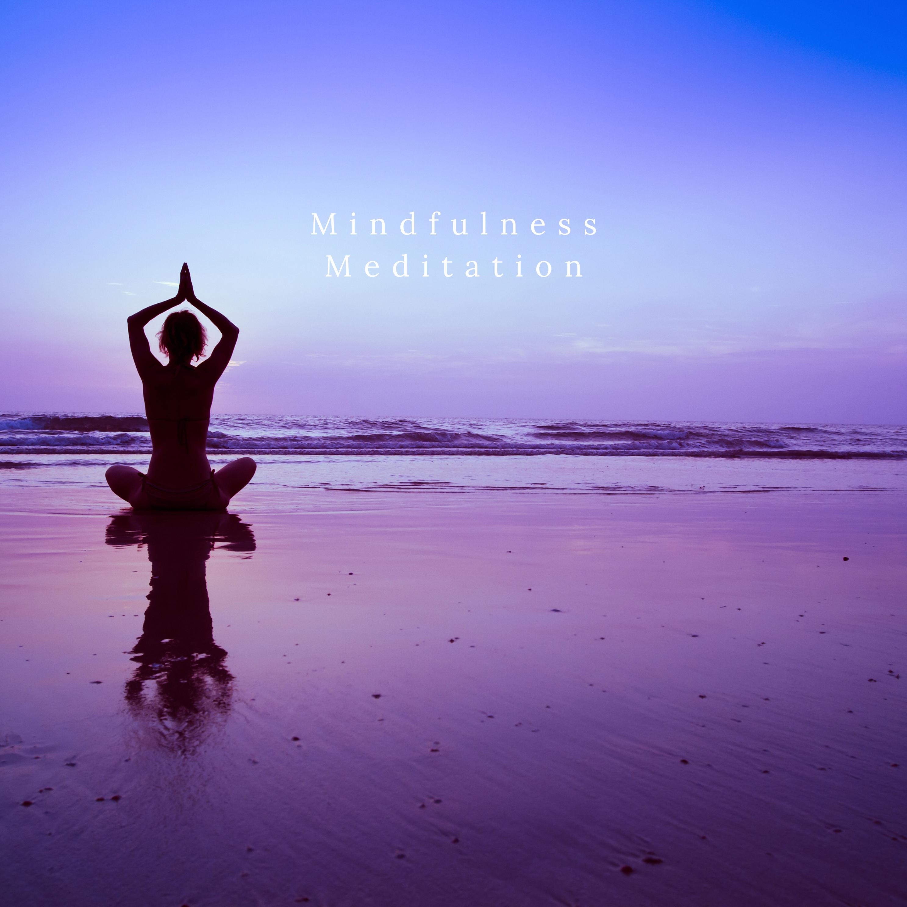 Постер альбома Mindfulness Meditation
