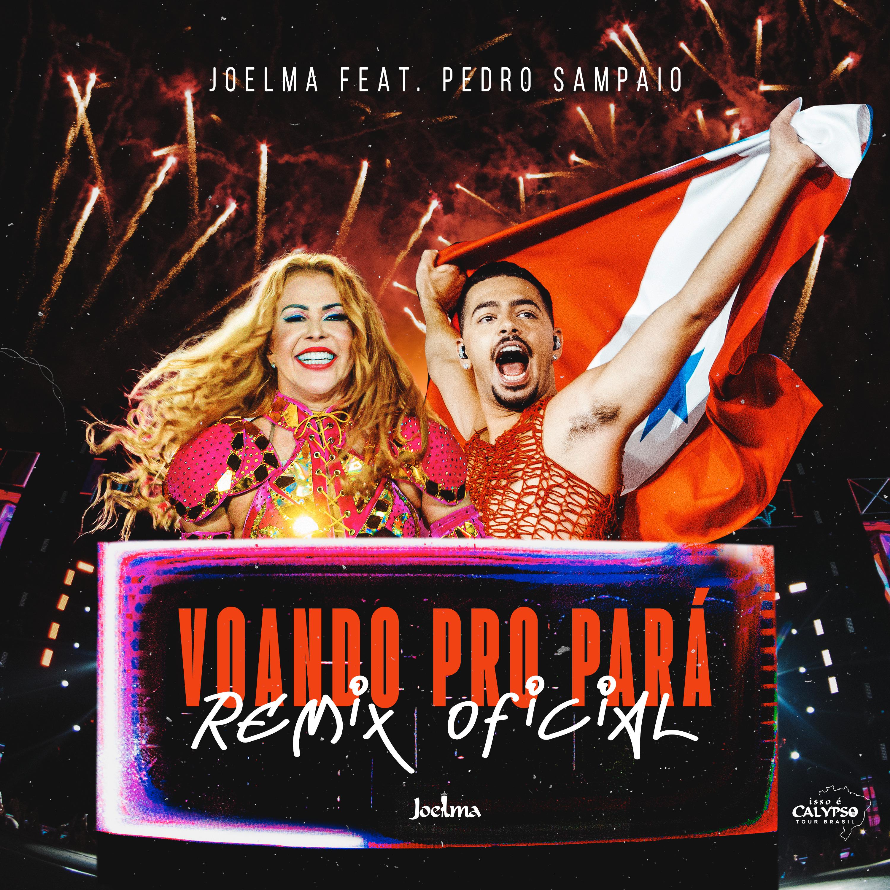 Постер альбома Voando pro Pará