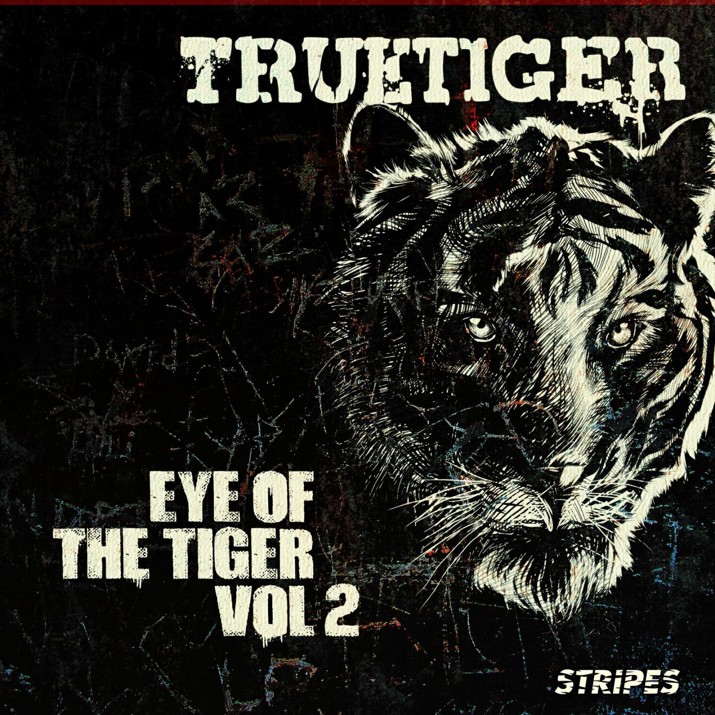 True Tiger - Only If You Knew