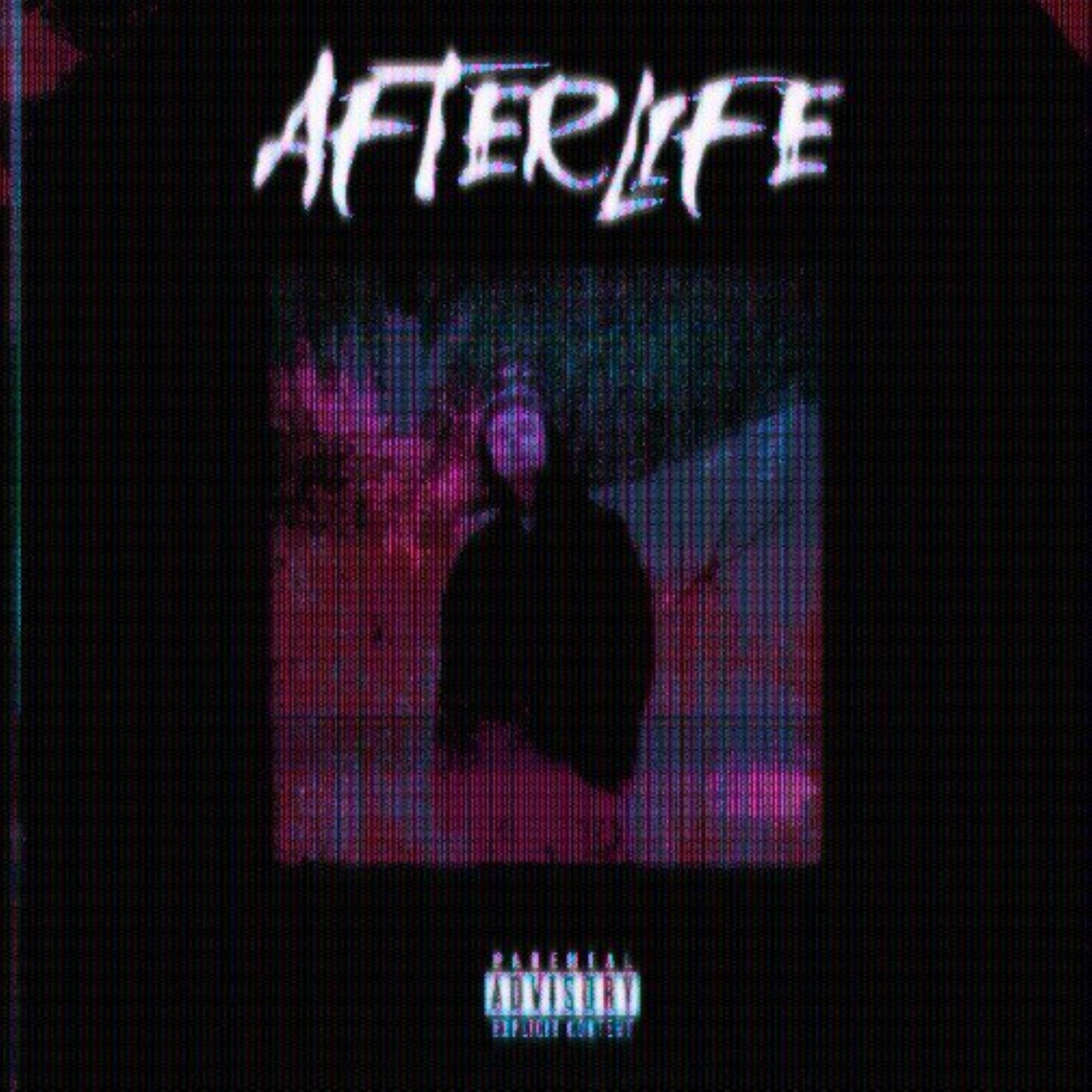 Постер альбома AfterLife