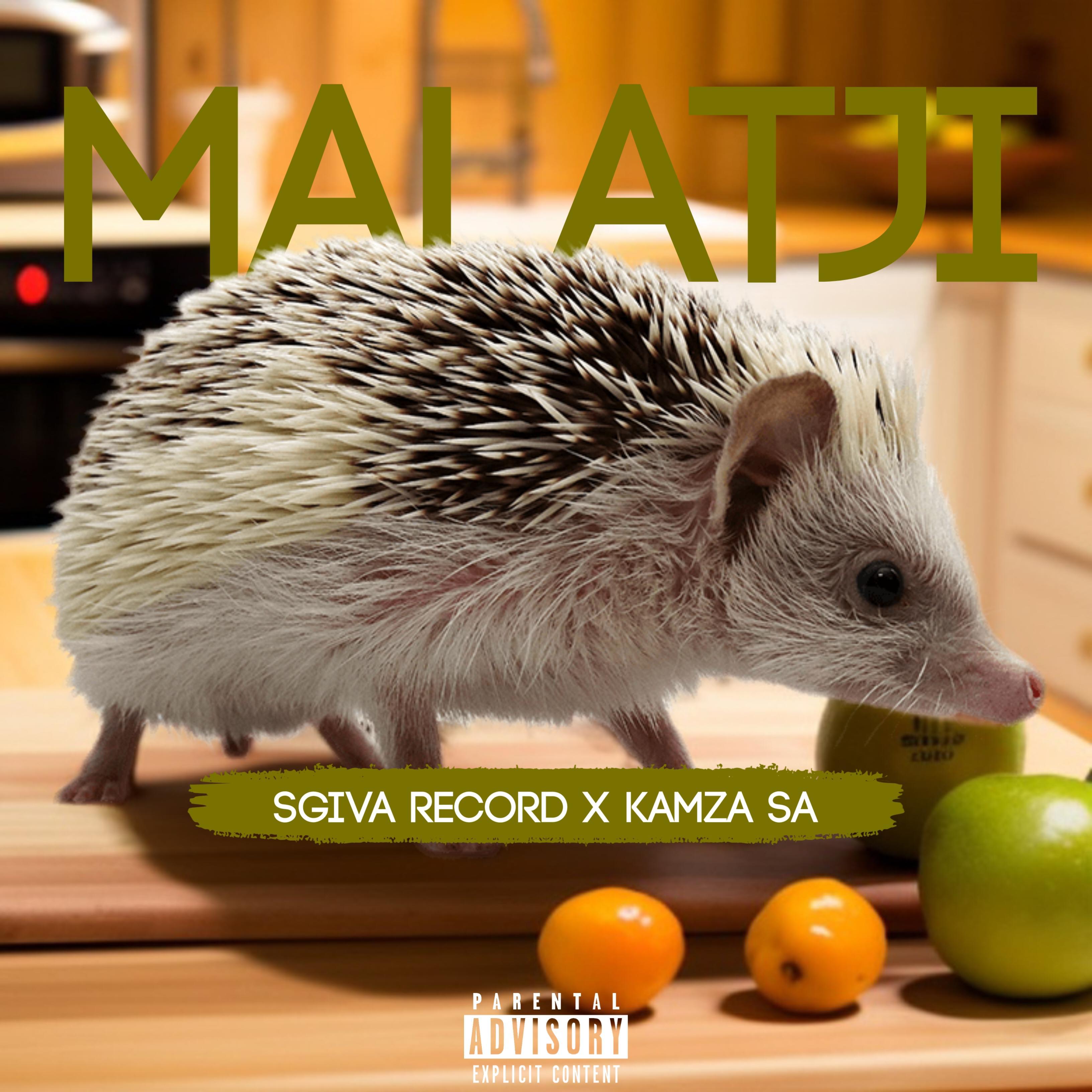 Постер альбома Malatji (feat. KaMza SA)