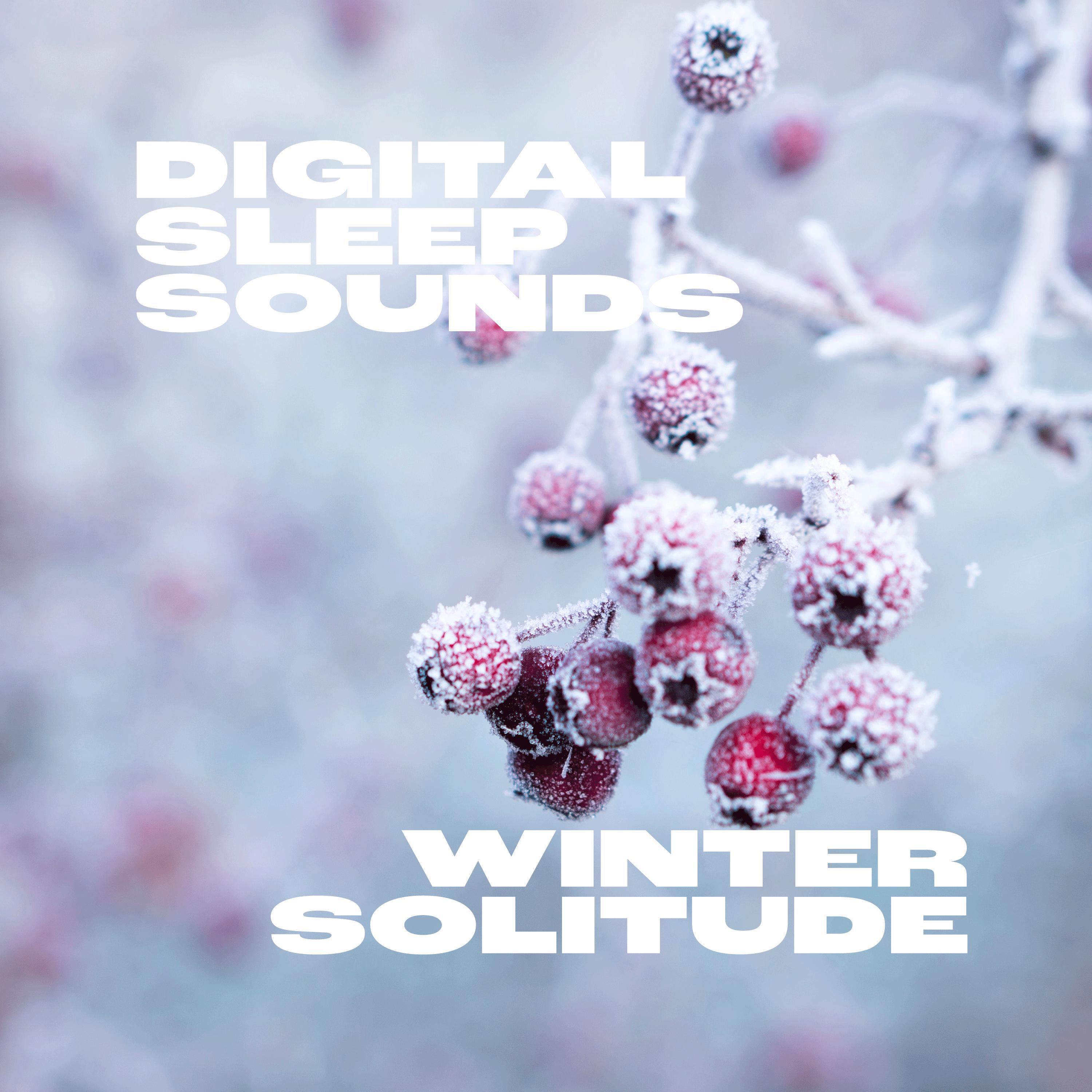 Постер альбома Winter Solitude