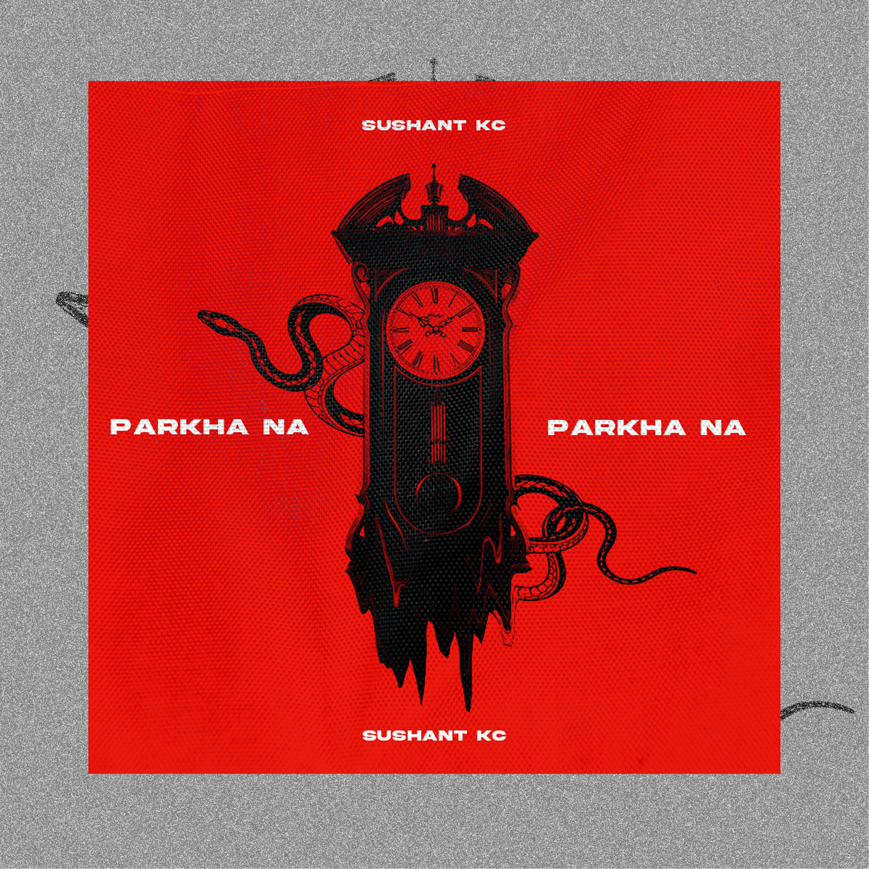 Постер альбома Parkha Na