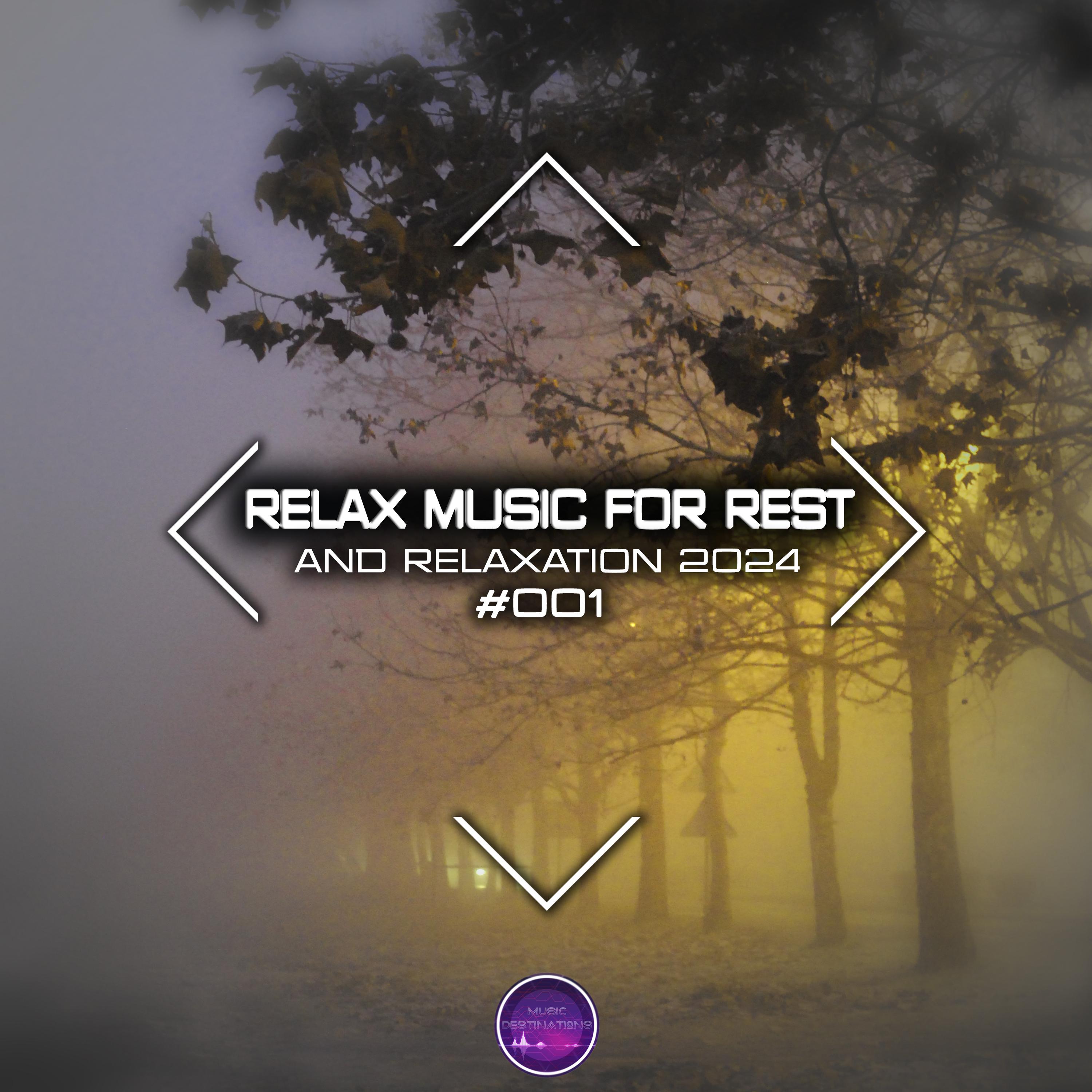 Постер альбома Relax Music for Rest and Relaxation 2024 #001