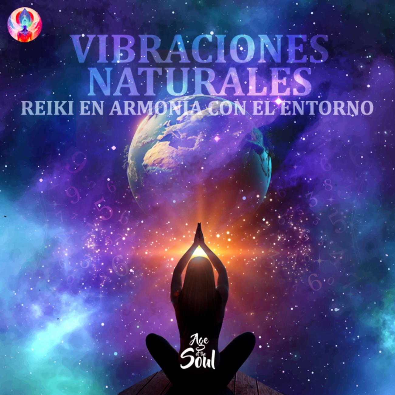 Постер альбома Vibraciones Naturales: Reiki en Armonía con el Entorno