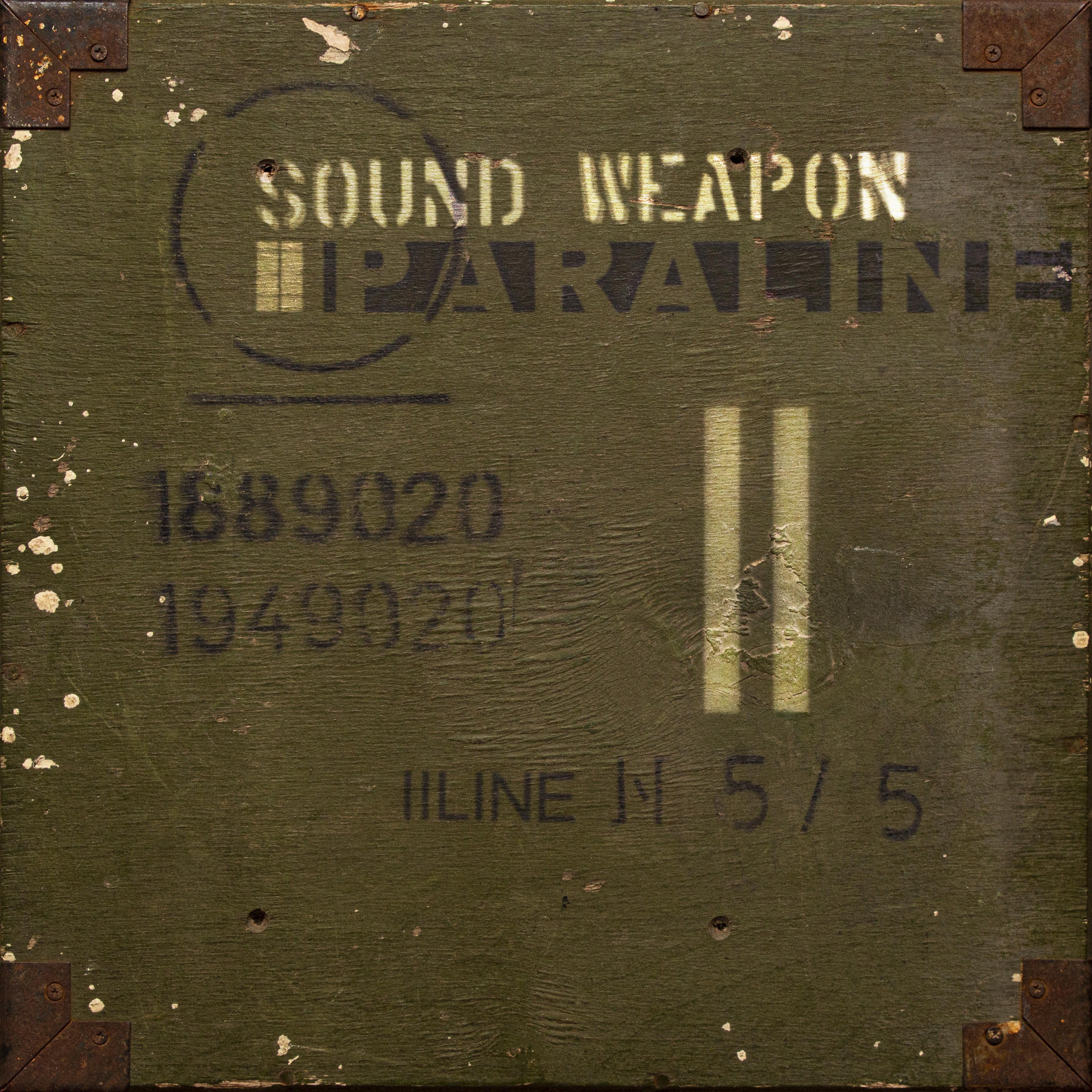 Постер альбома Sound Weapon