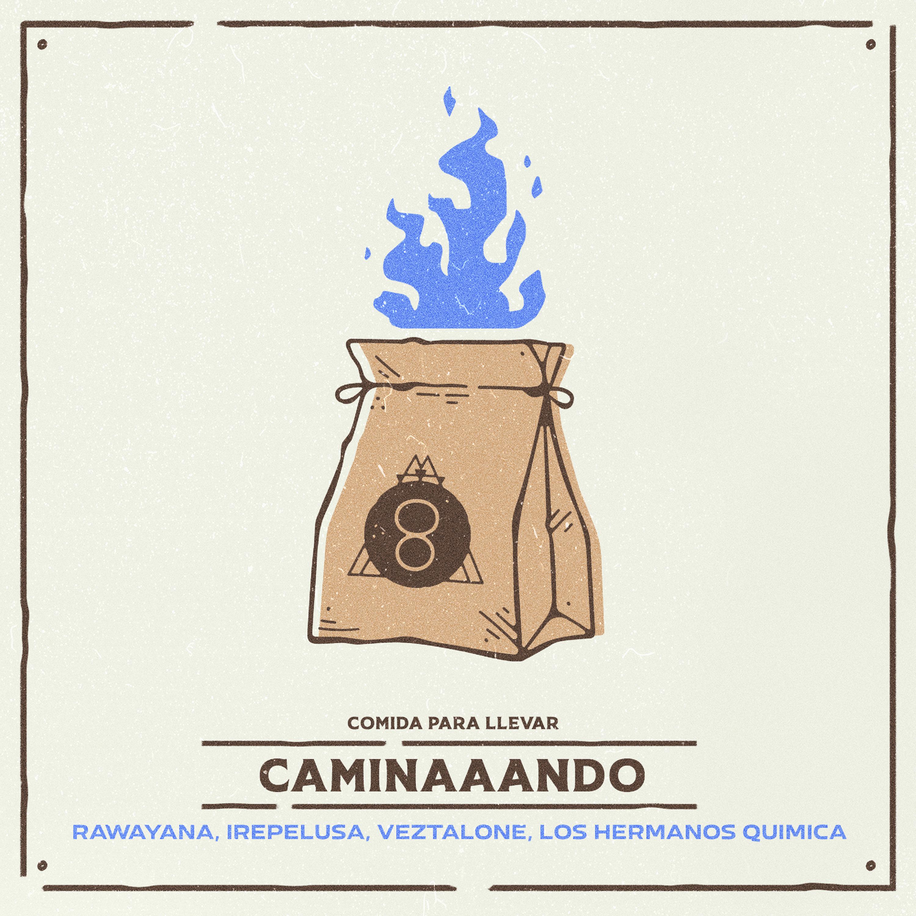 Постер альбома CAMINAAANDO