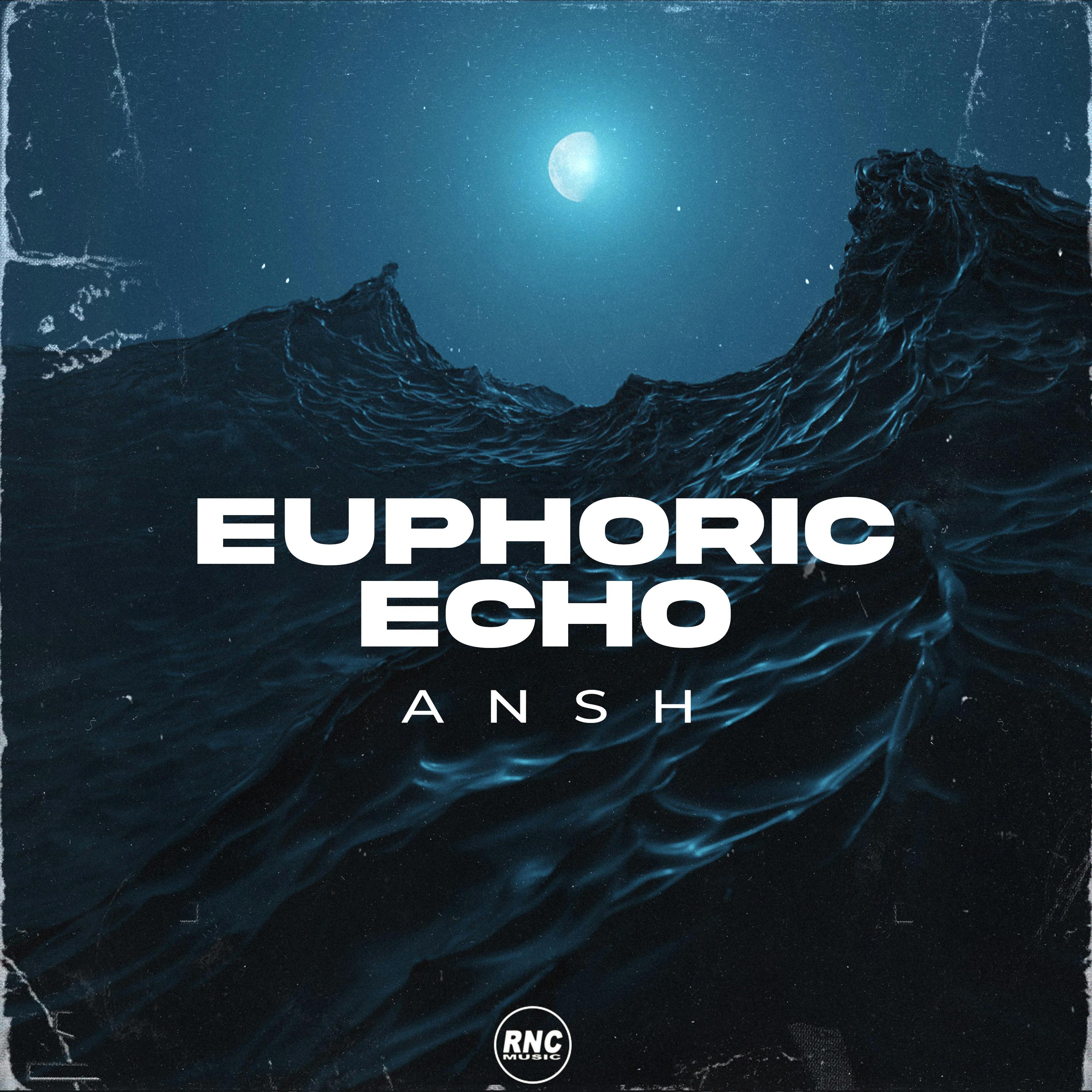 Постер альбома Euphoric Echo