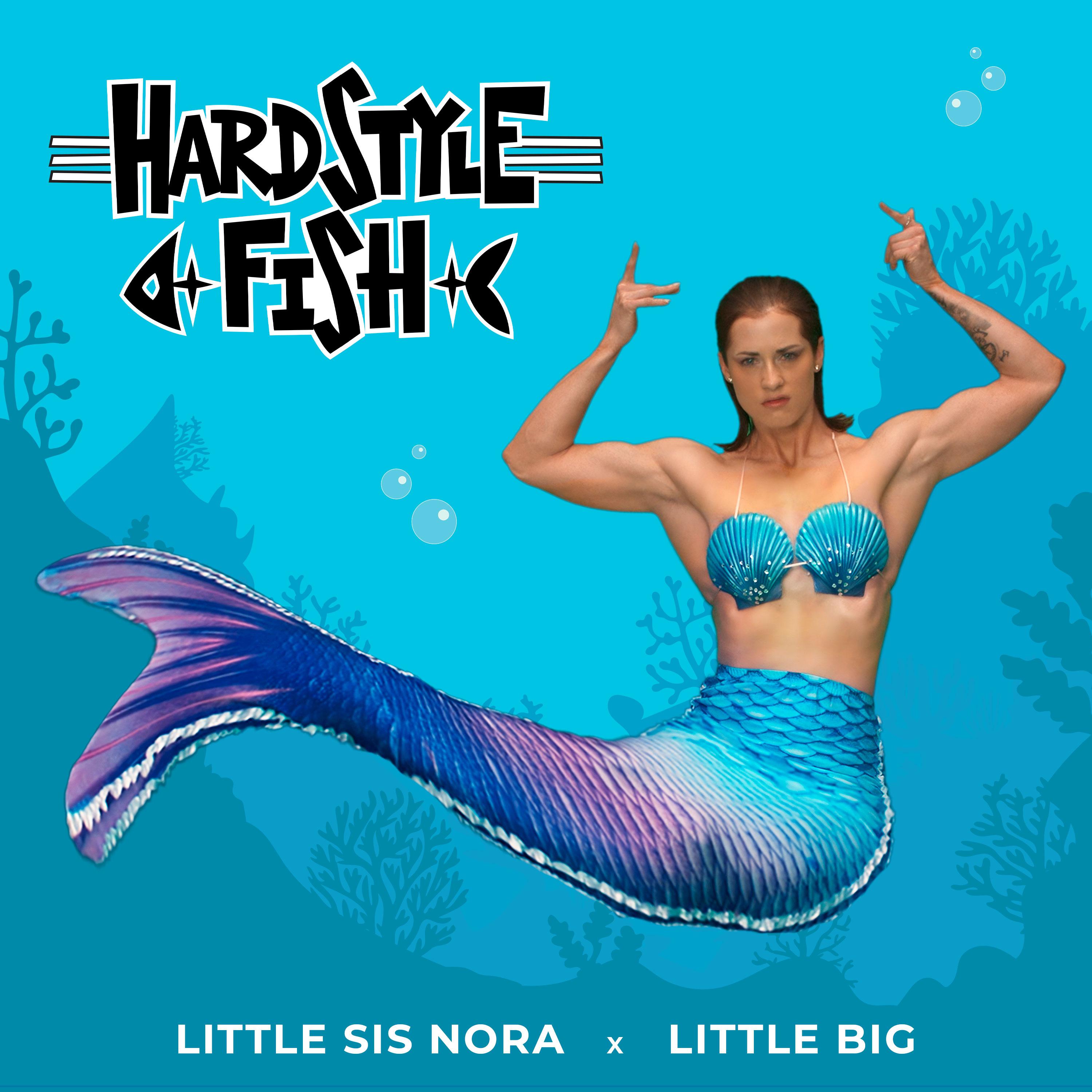 Постер альбома Hardstyle Fish