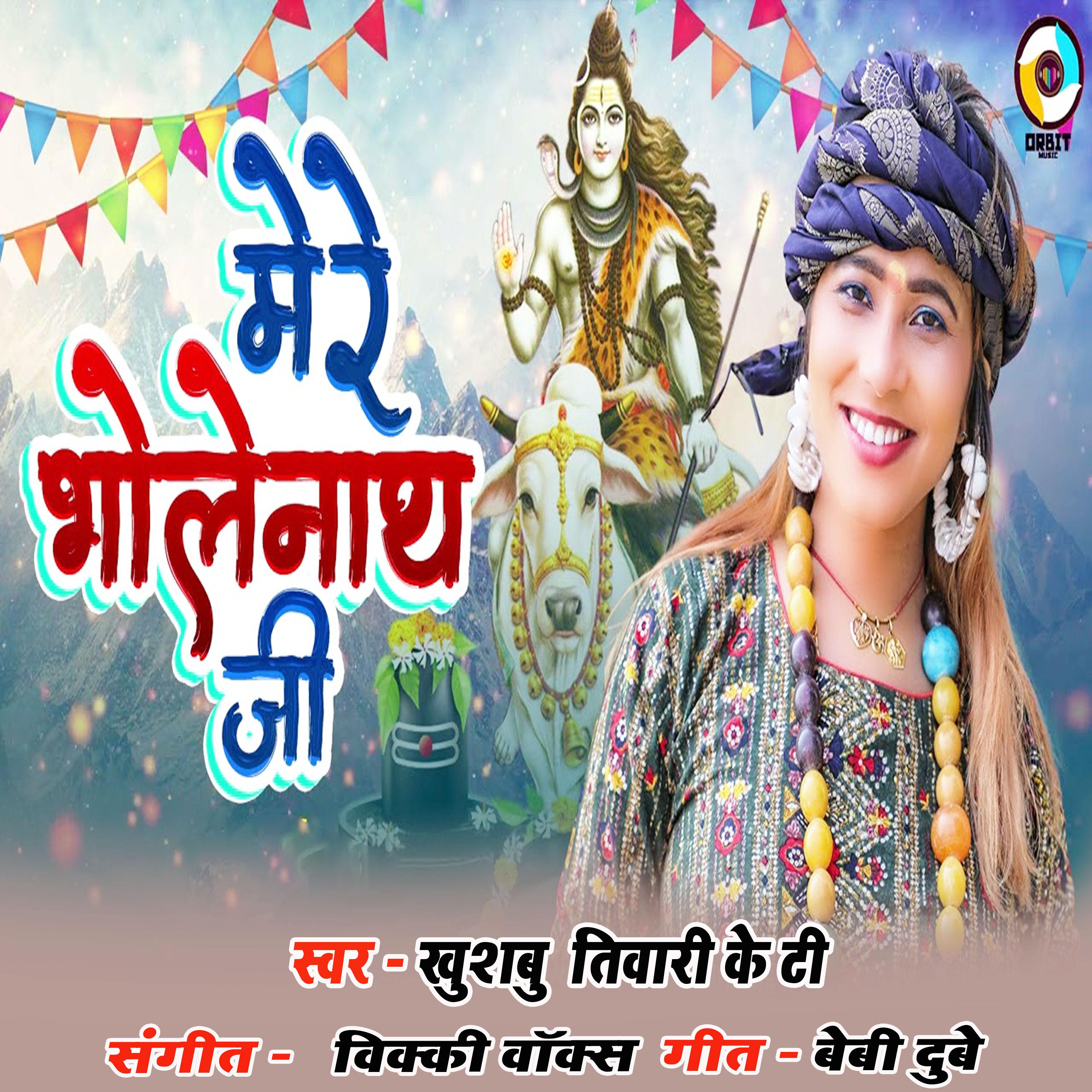 Постер альбома Mere Bholenath Ji