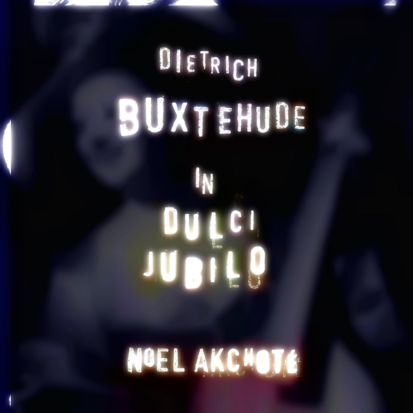 Постер альбома Dietrich Buxtehude: In dulci jubilo