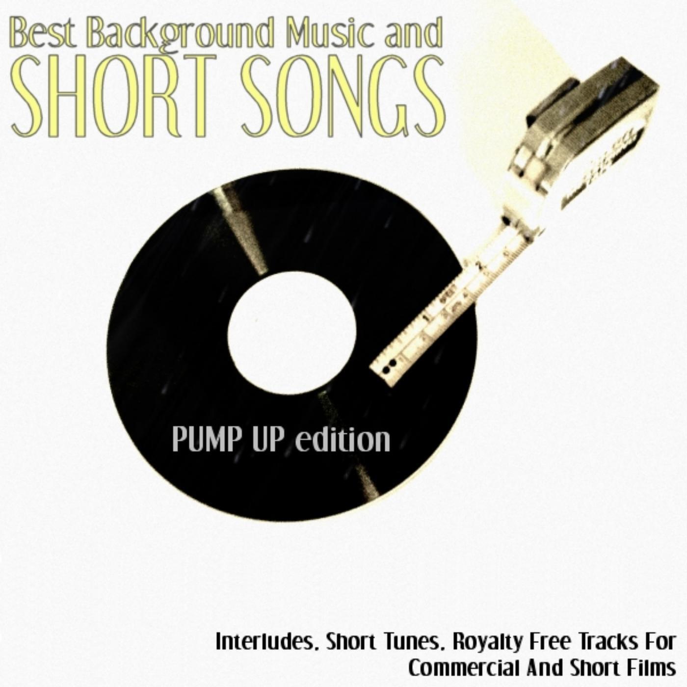 Buzzytunes Royalty Free Sound Clips - Angel Beast - Acid Synthpop