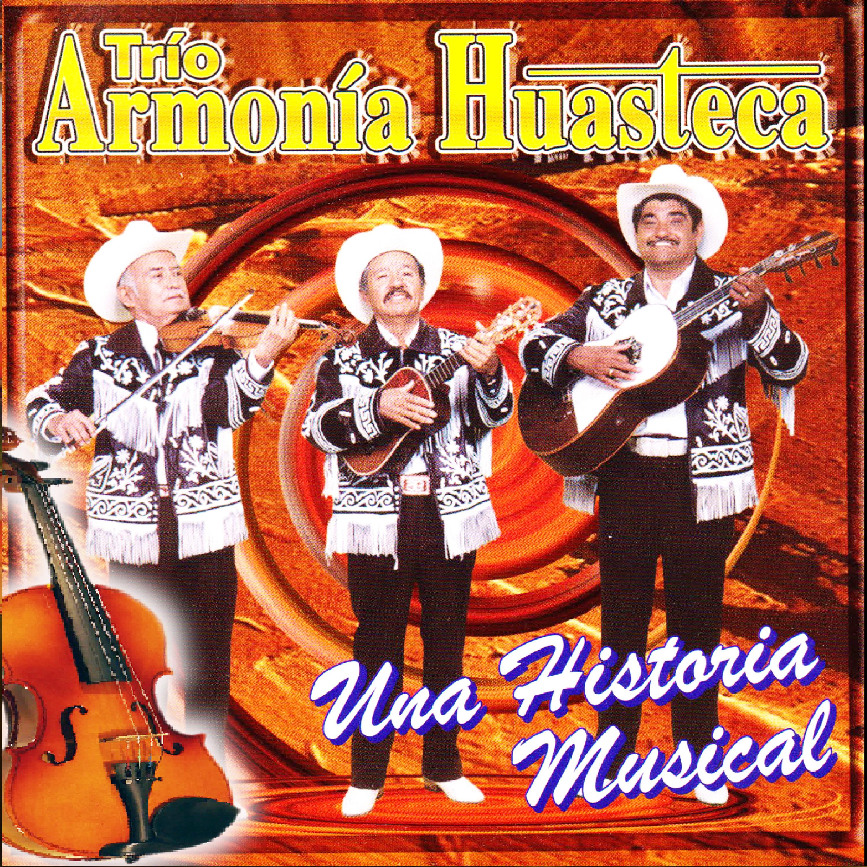 Постер альбома Una Historia Musical
