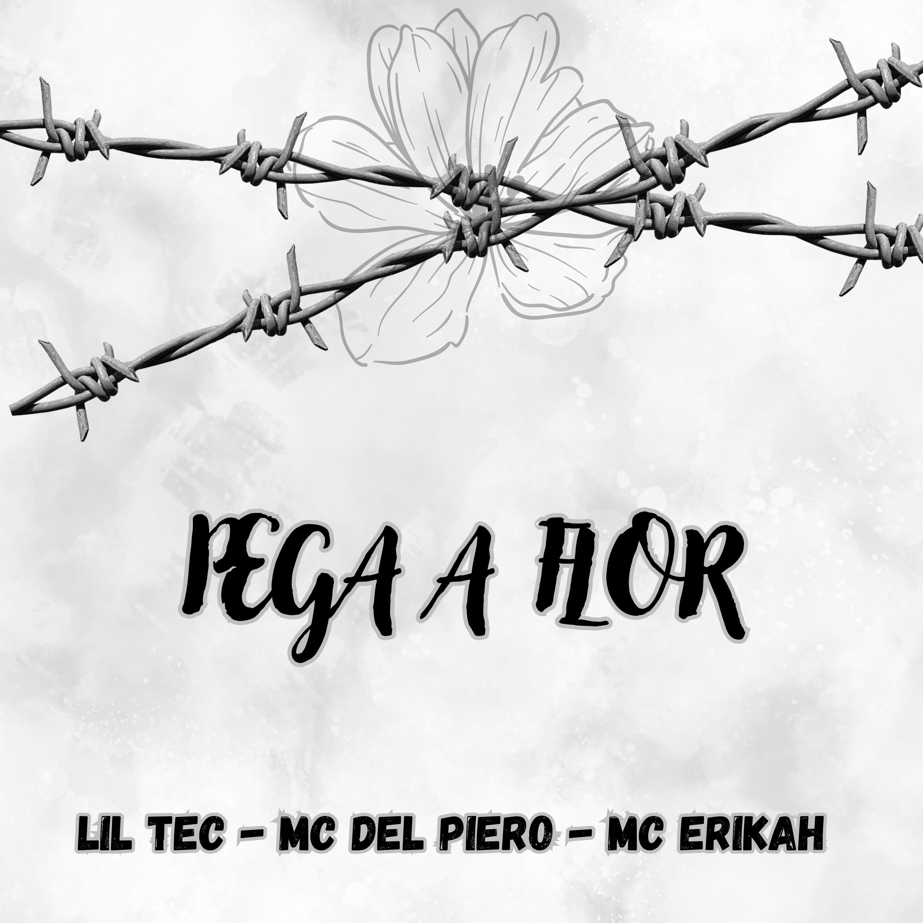 Постер альбома Pega a Flor