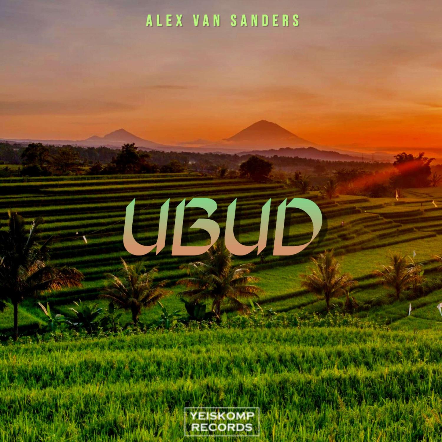 Постер альбома Ubud