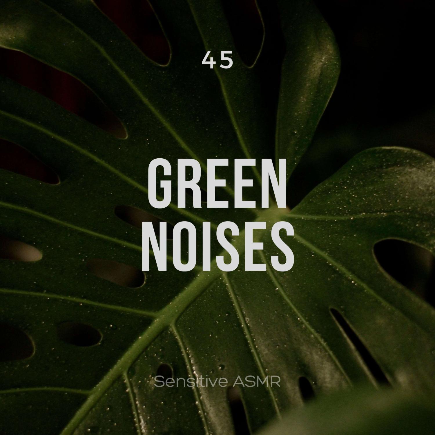 Постер альбома 45 Green Noises