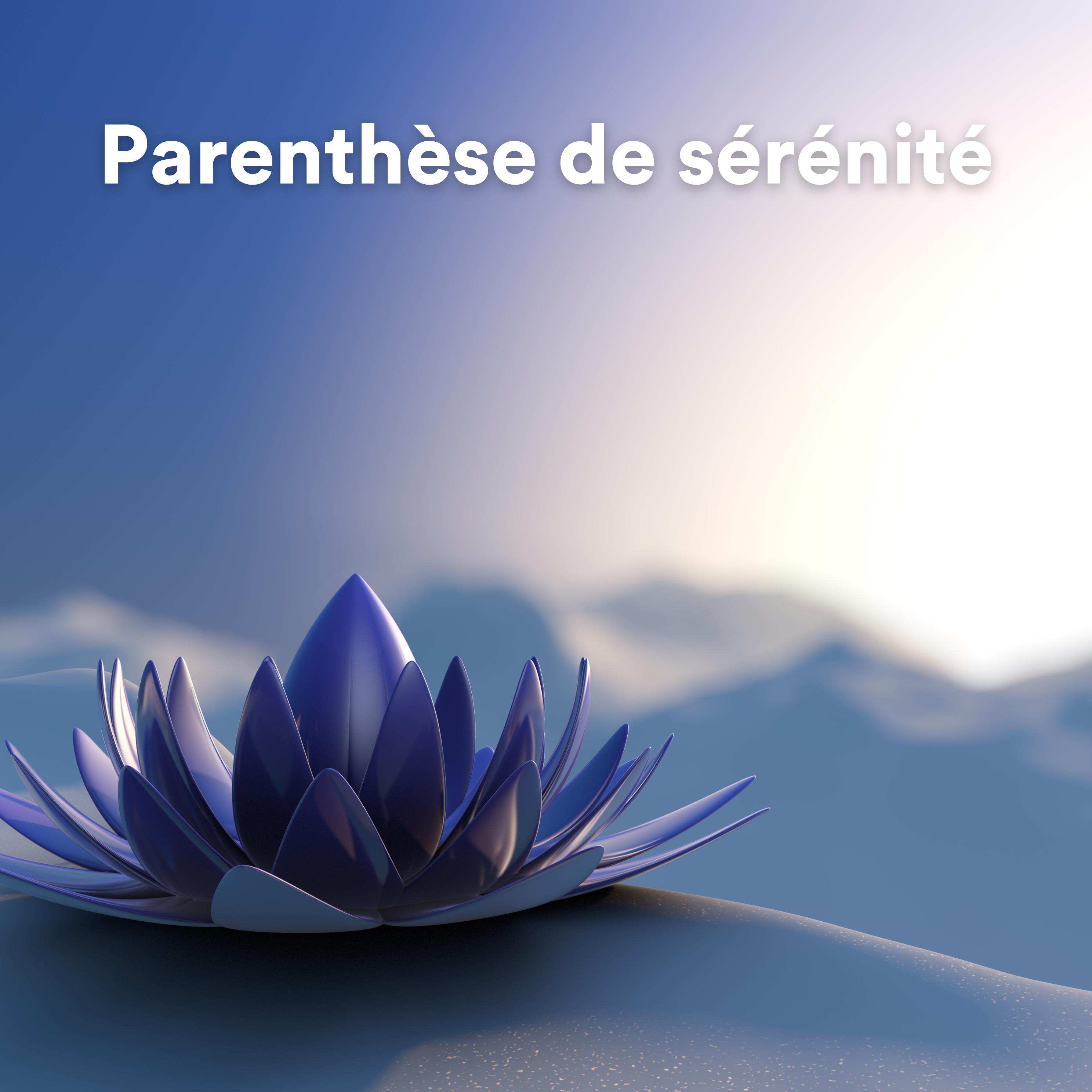 Постер альбома Parenthèse de Sérénité