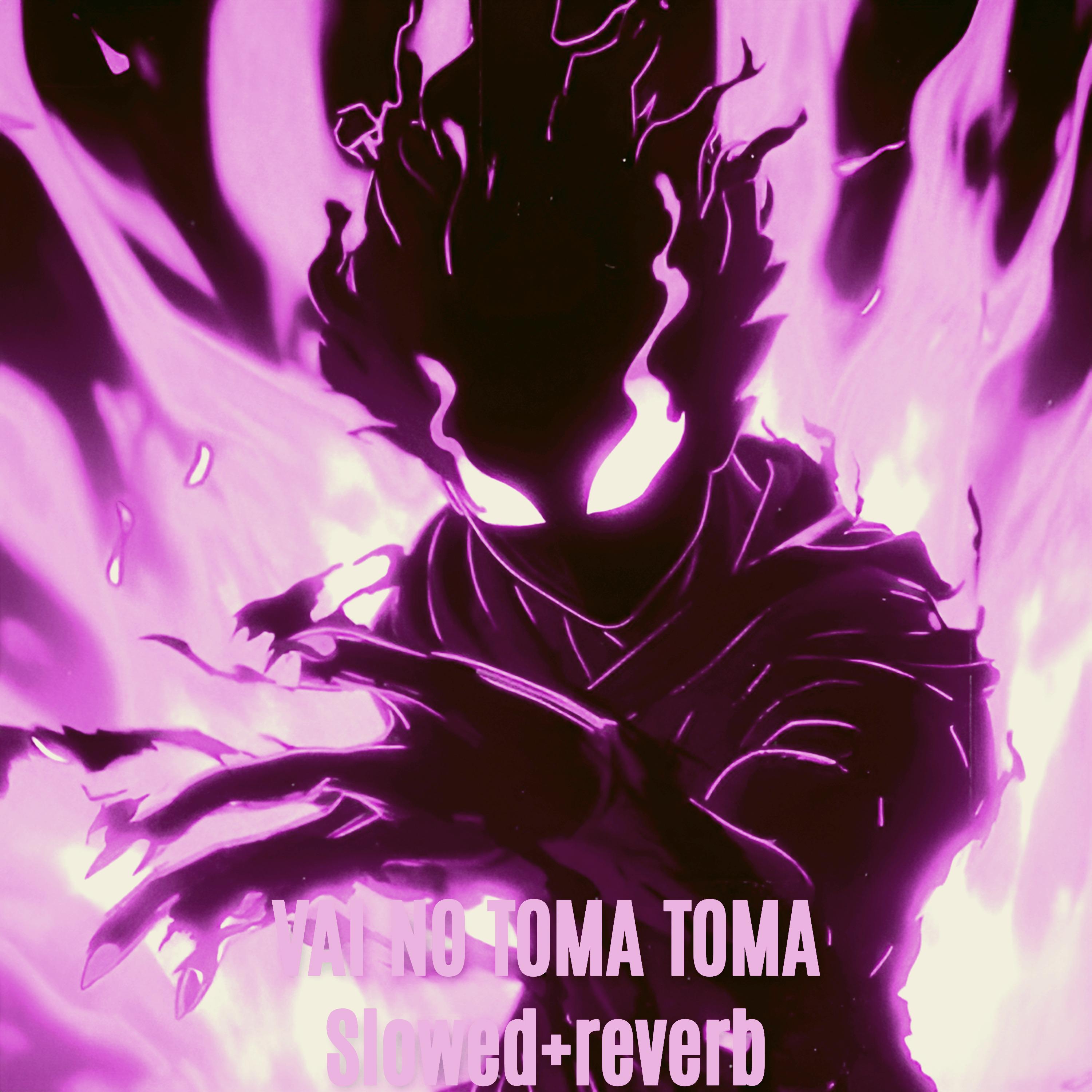 Постер альбома VAI NO TOMA TOMA