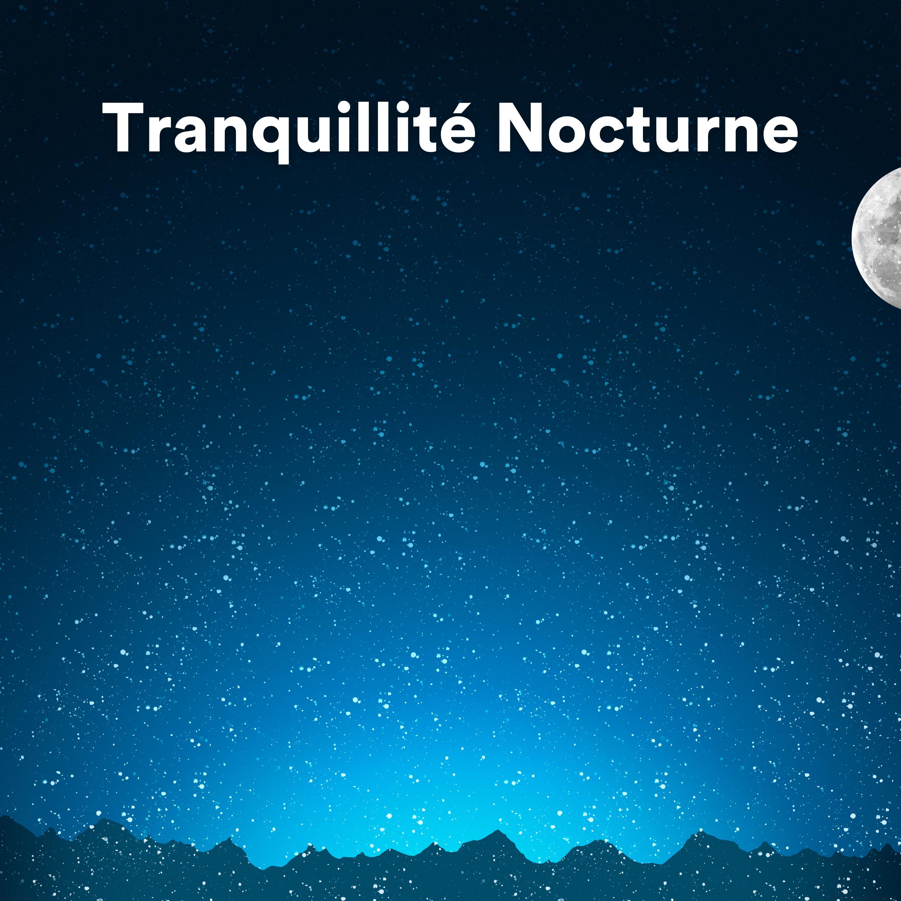 Постер альбома Tranquillité Nocturne