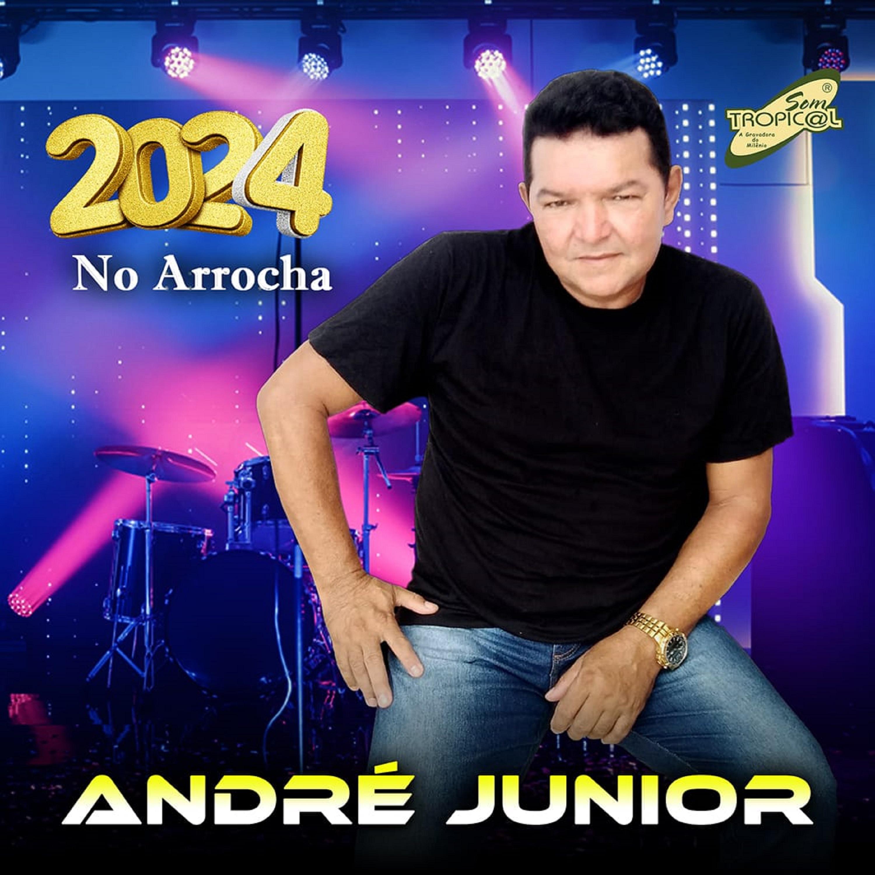 Постер альбома No Arrocha 2024