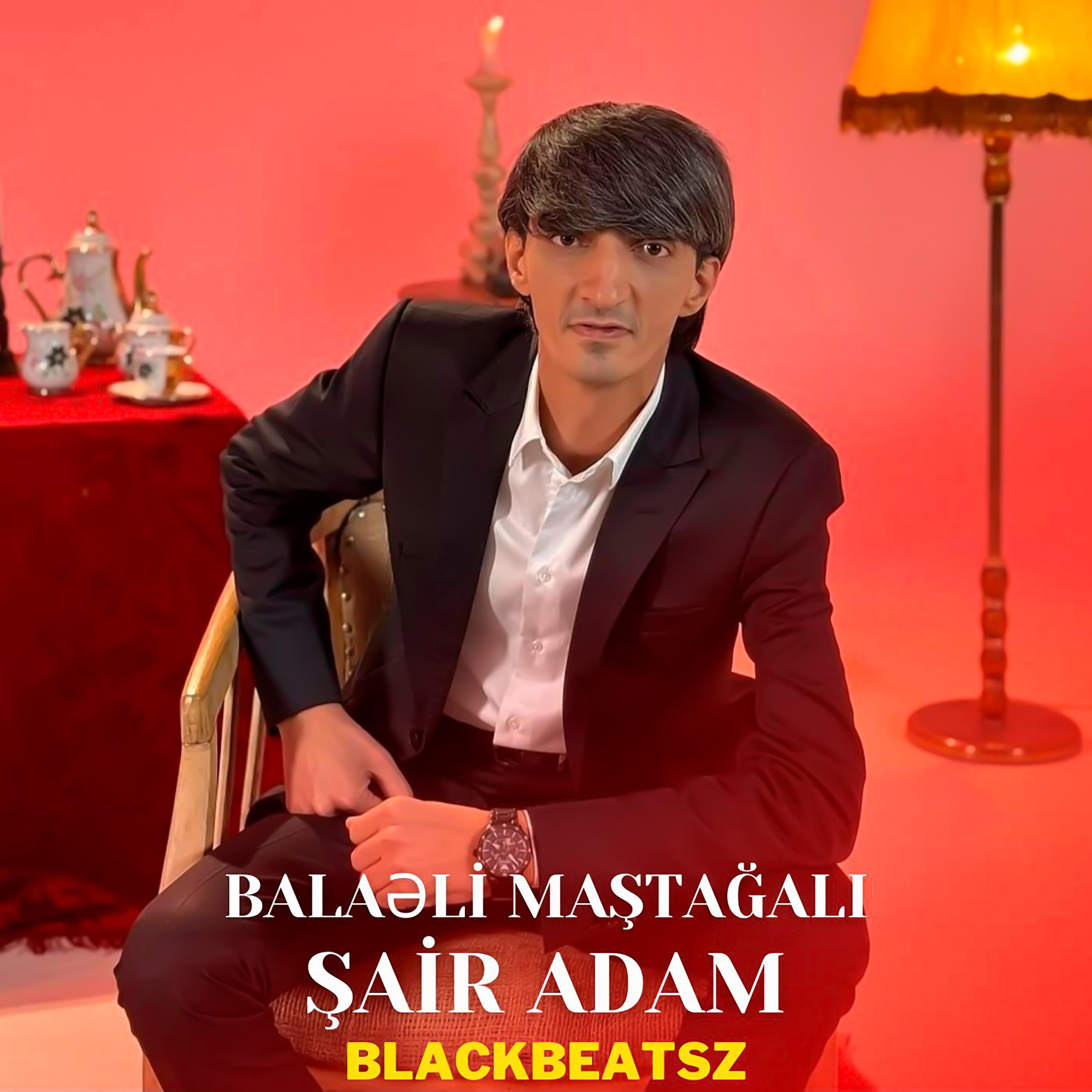 Постер альбома Şair Adam