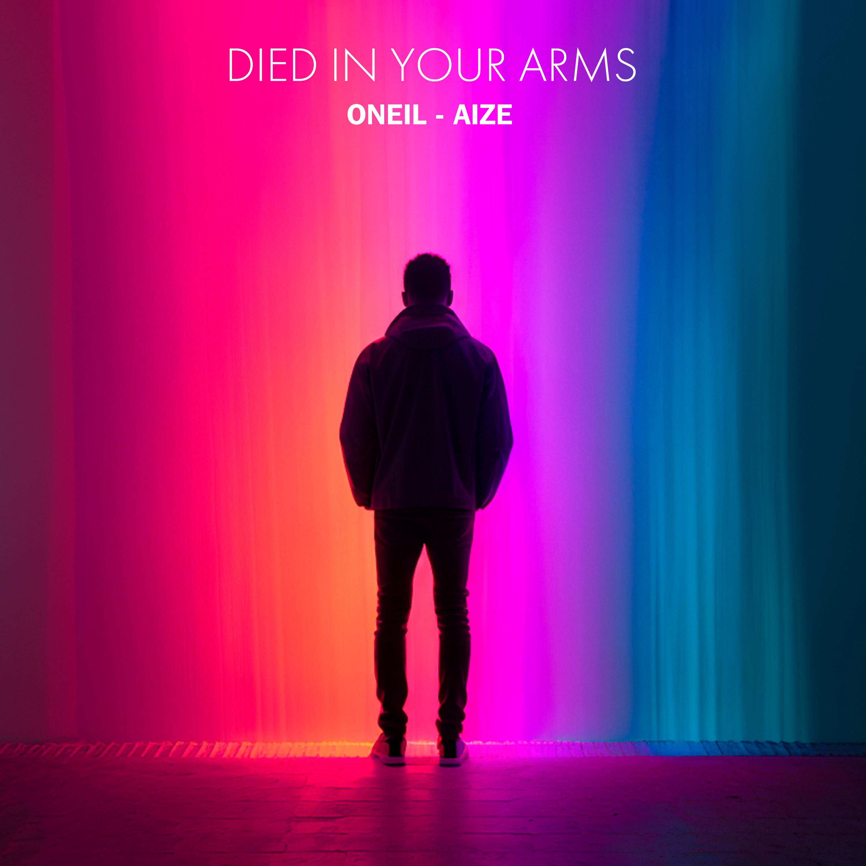 Постер альбома Died in Your Arms