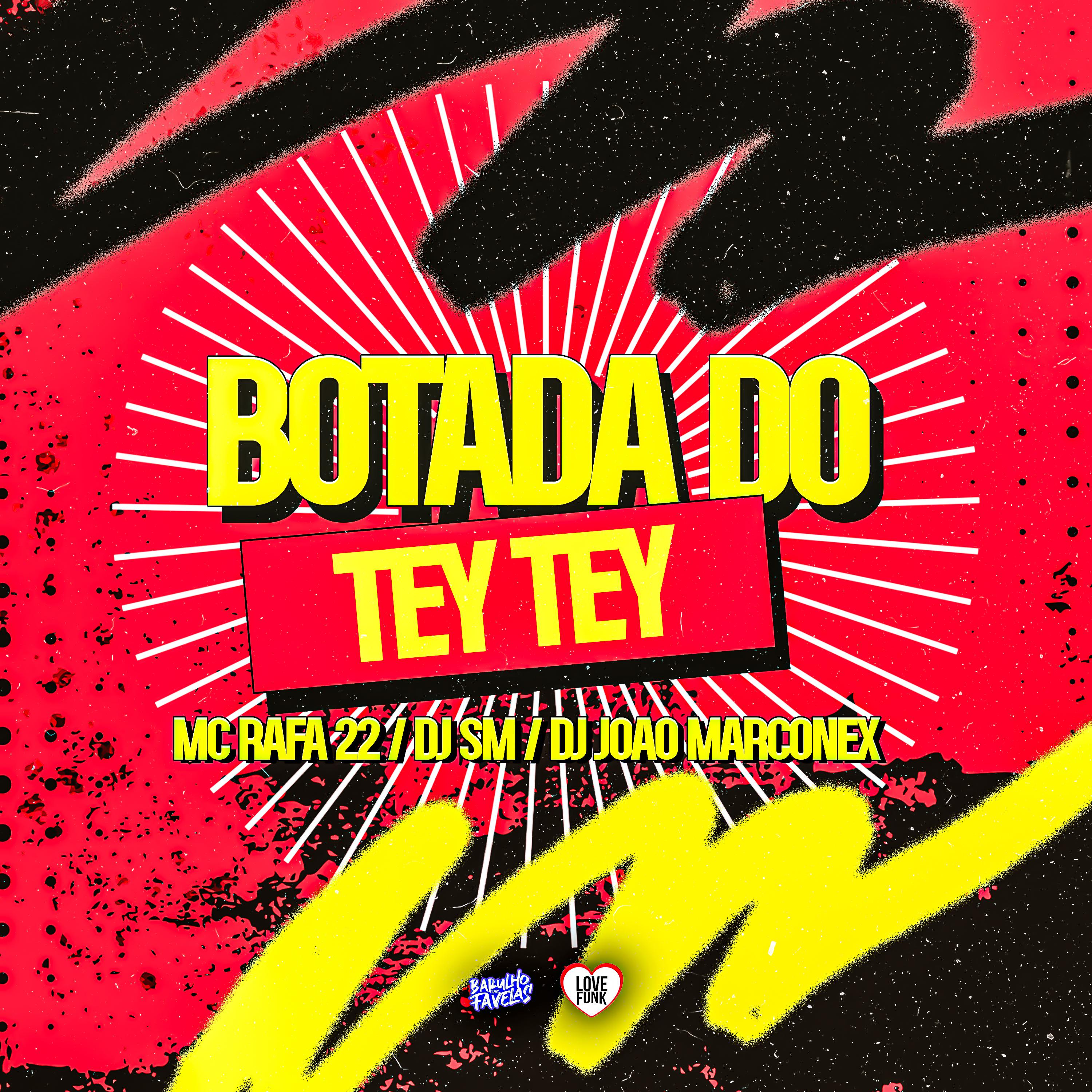 Постер альбома Botada Do Tey Tey