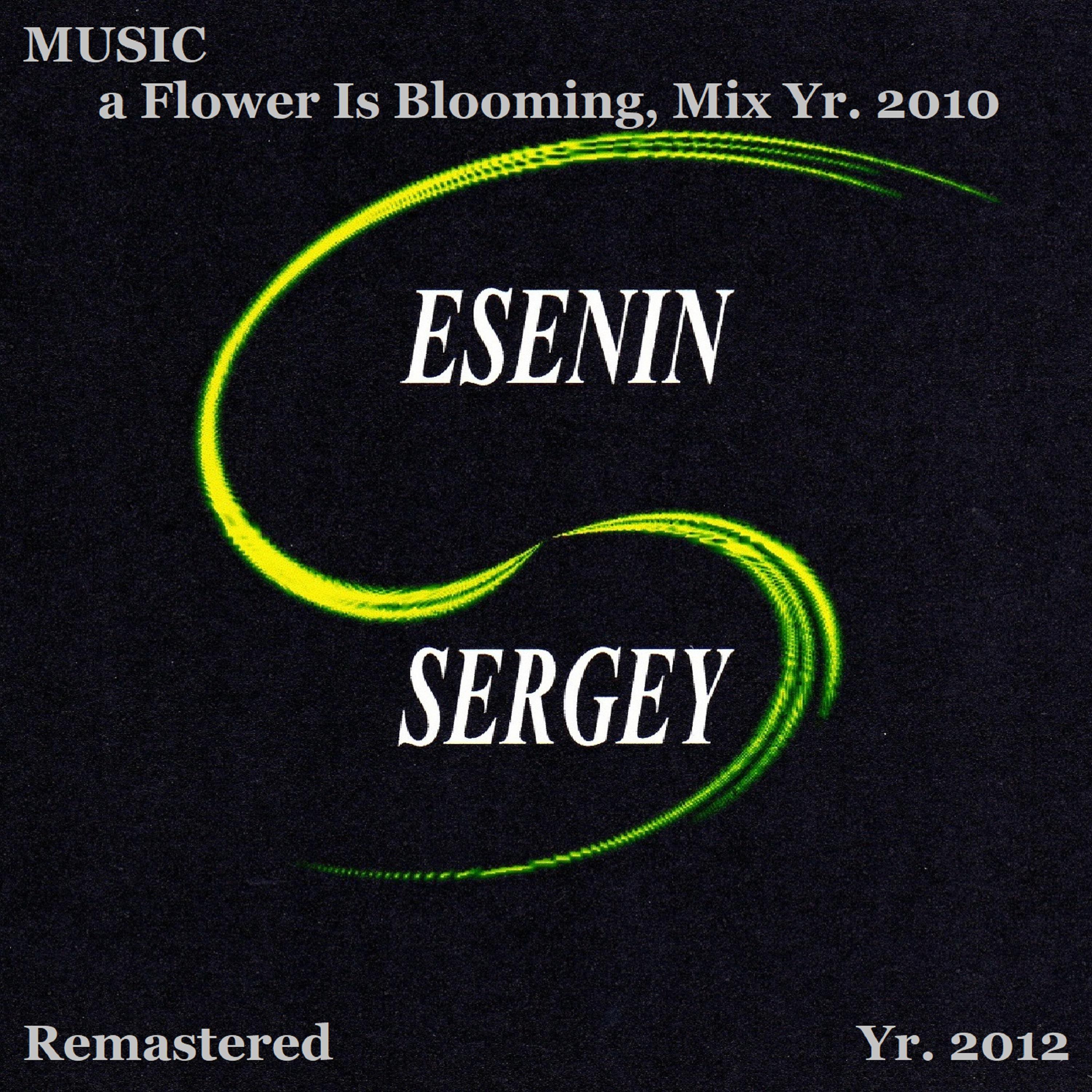 Постер альбома Music, Yr. 2012, a Flower Is Blooming, Mix Yr. 2010 (Remastered Yr. 2012)