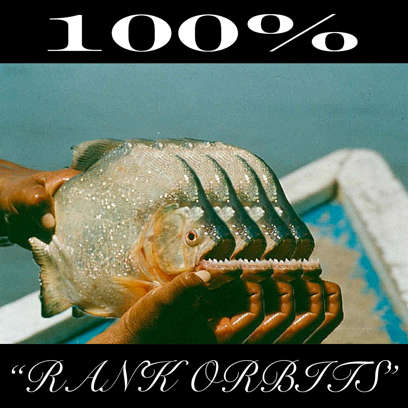 One Hundred Percent - Grow It (Live at the Stork Club)