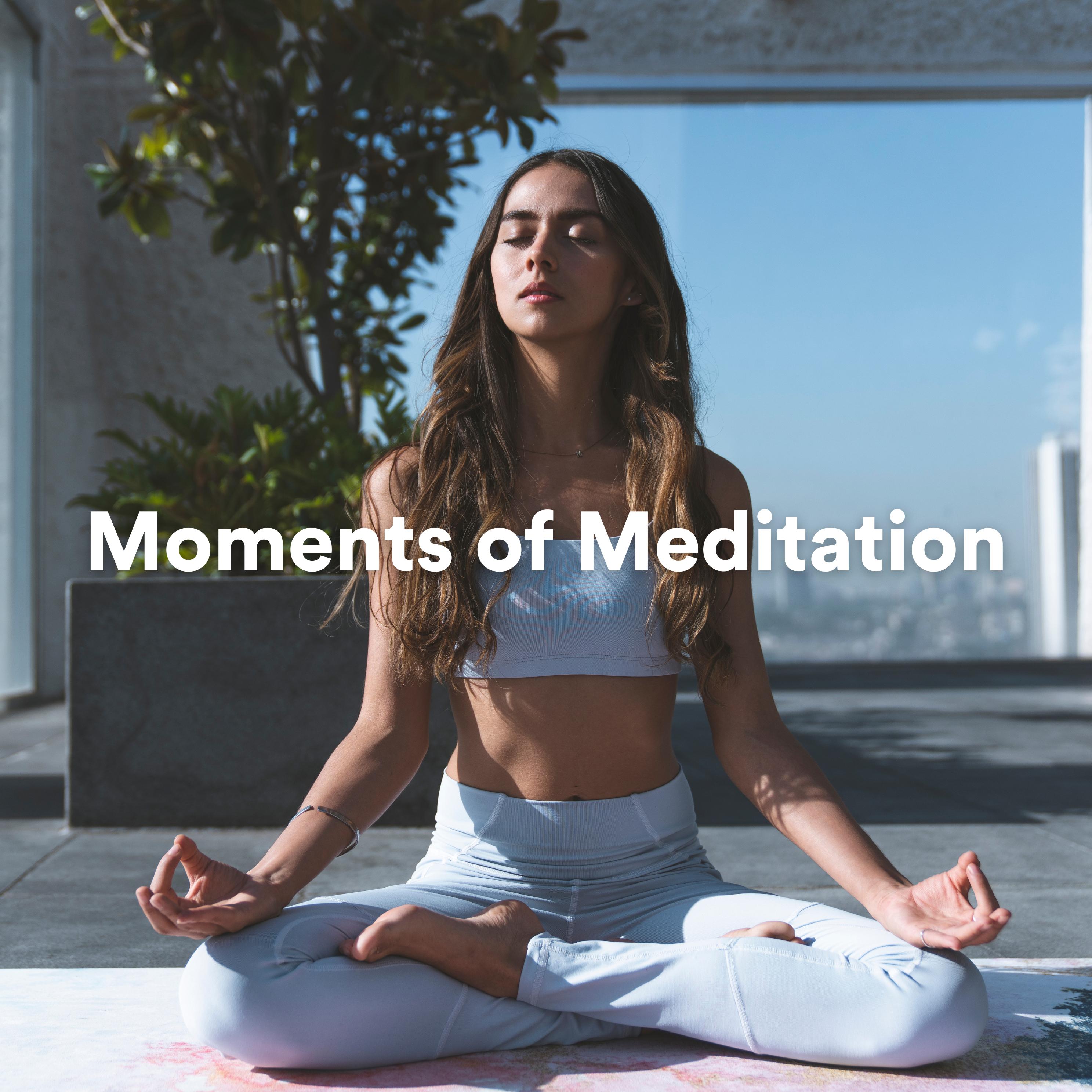 Постер альбома Moments of Meditation