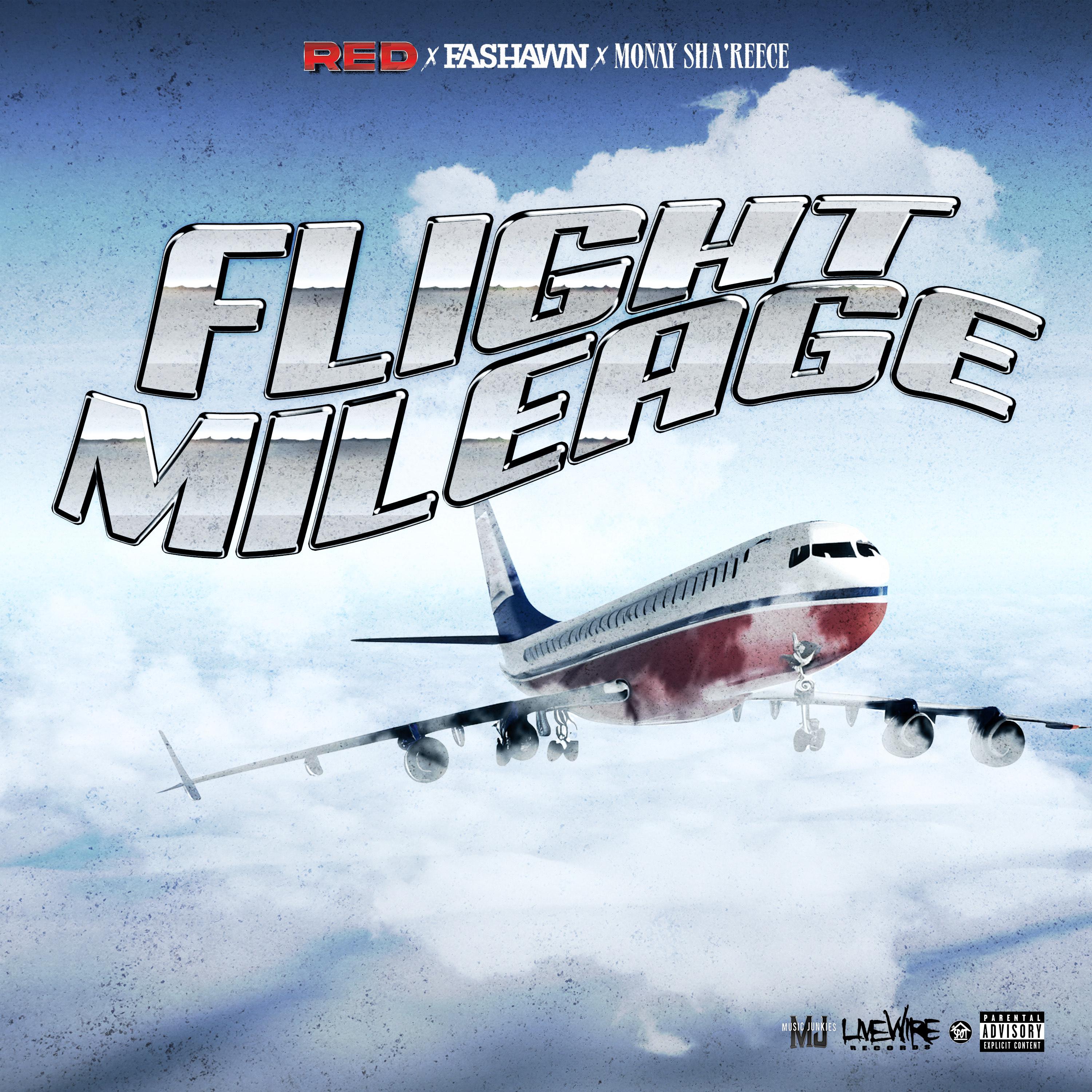 Постер альбома Flight Mileage