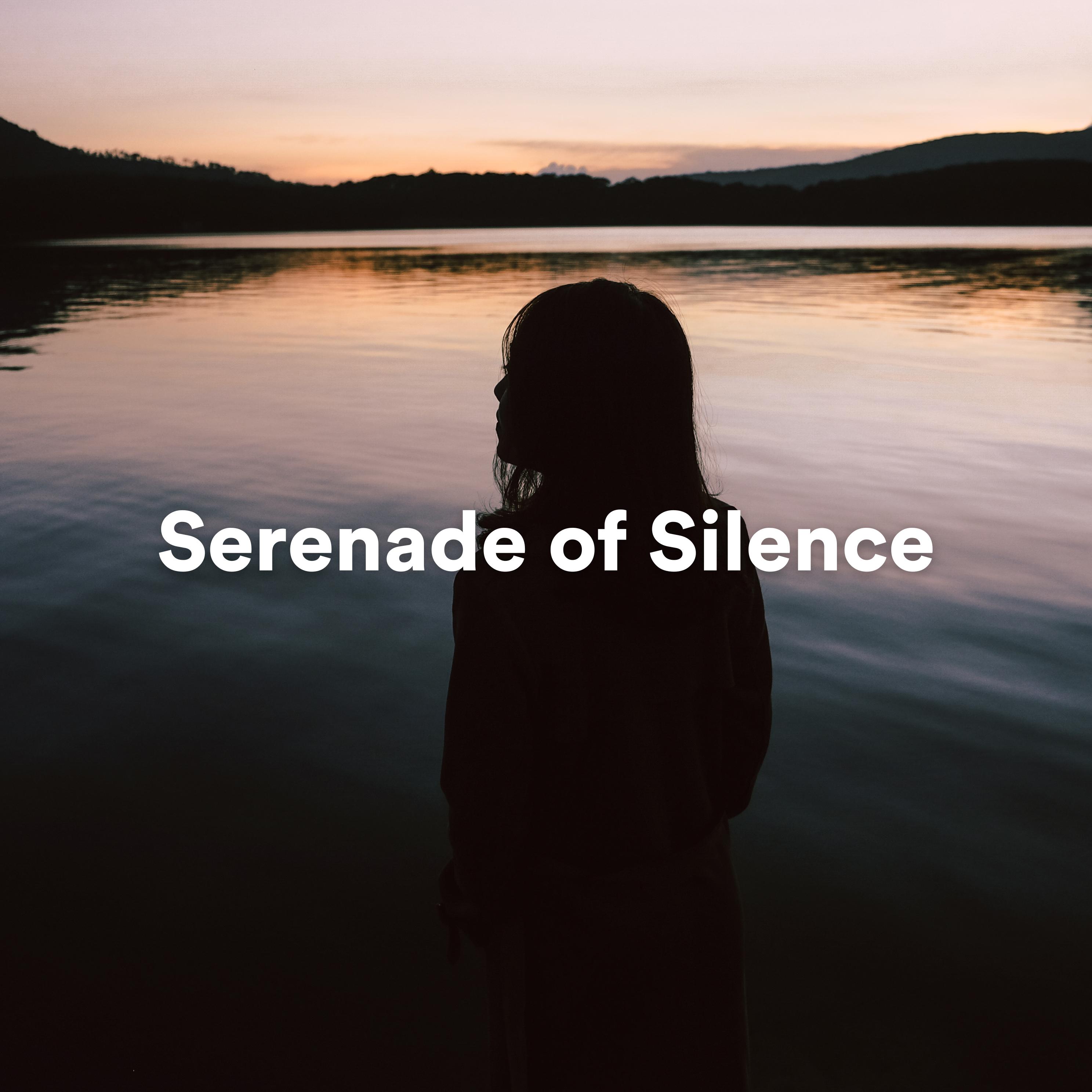 Постер альбома Serenade of Silence: Ambient Music for Meditation and Deep Relaxation