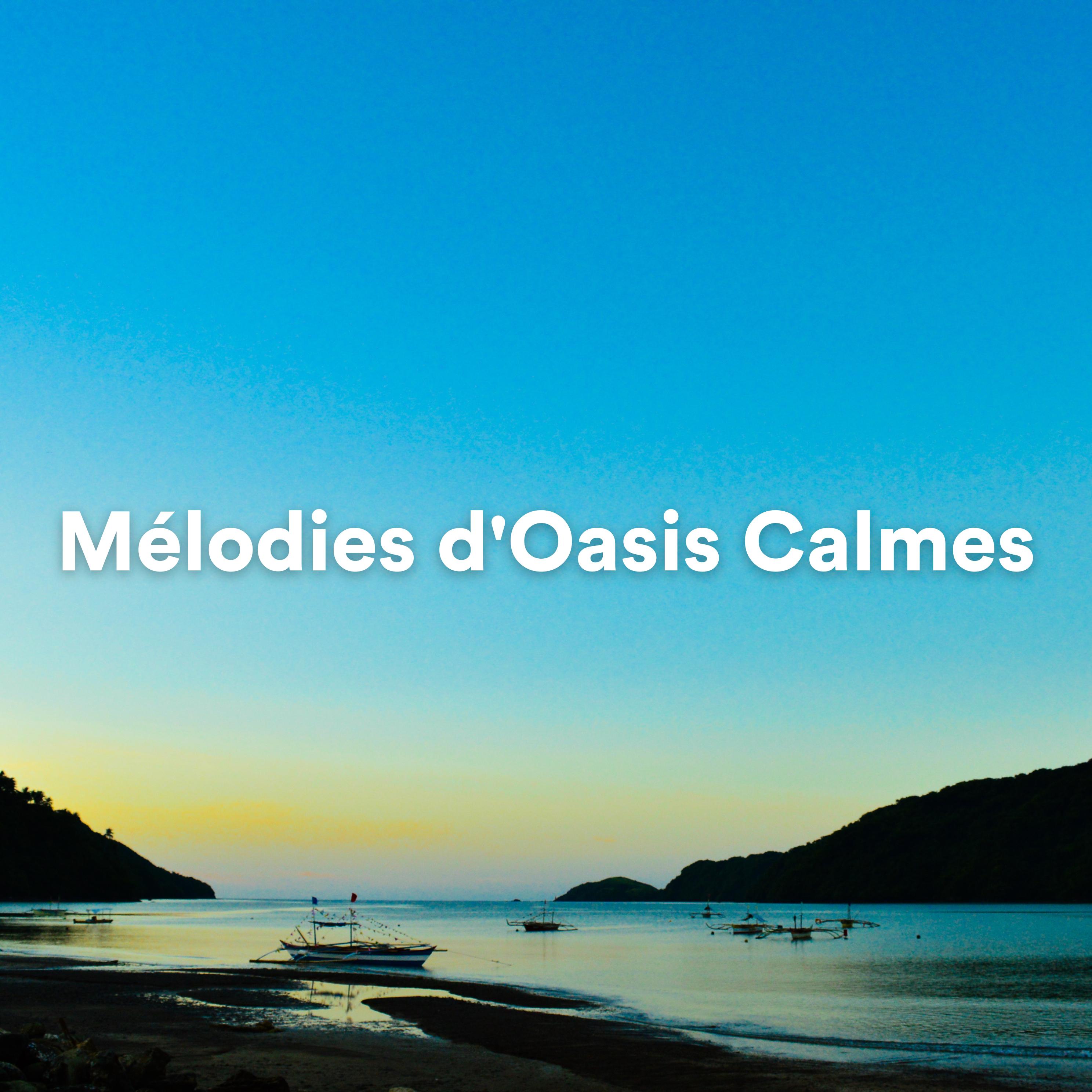 Постер альбома Mélodies d'Oasis Calmes