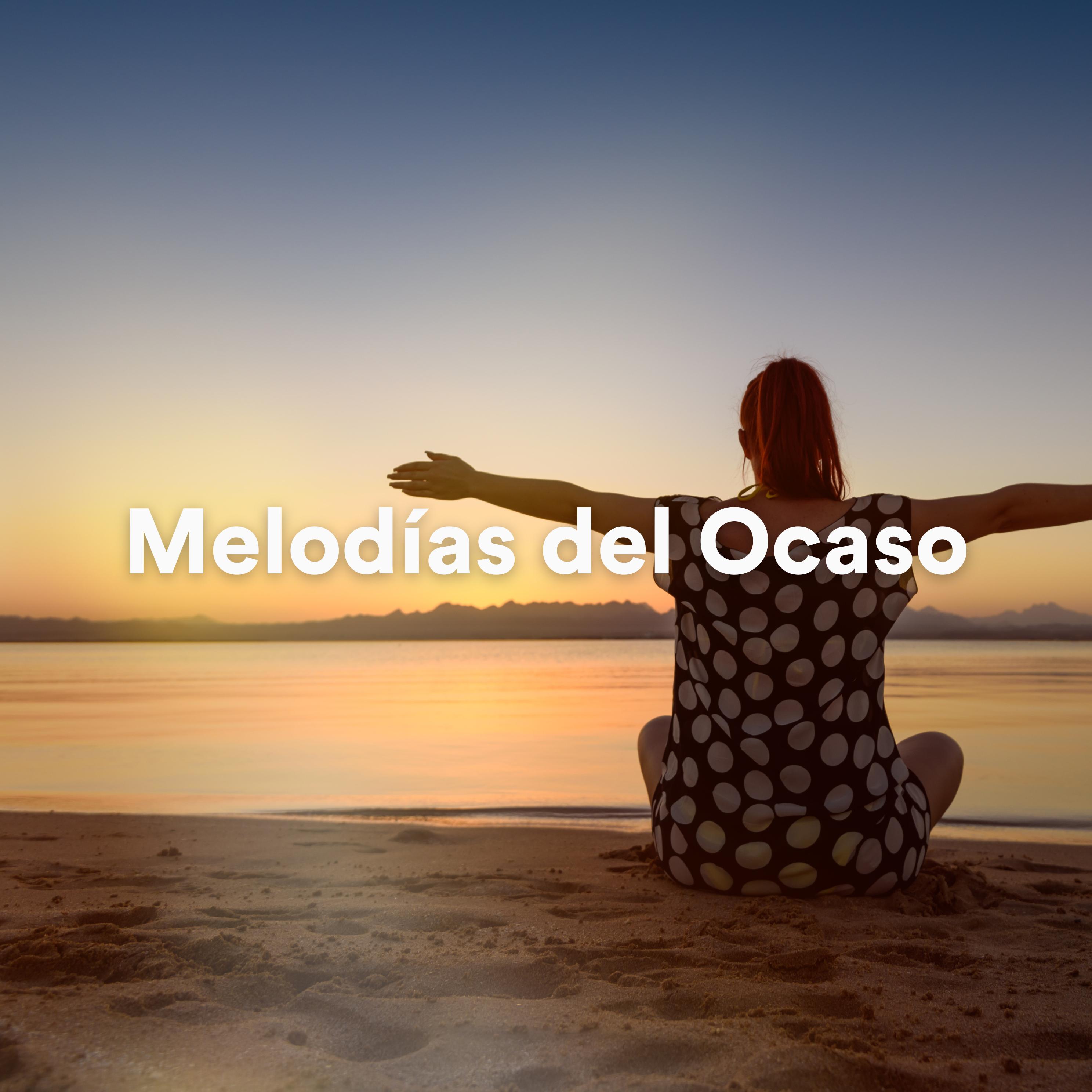 Постер альбома Melodías del Ocaso