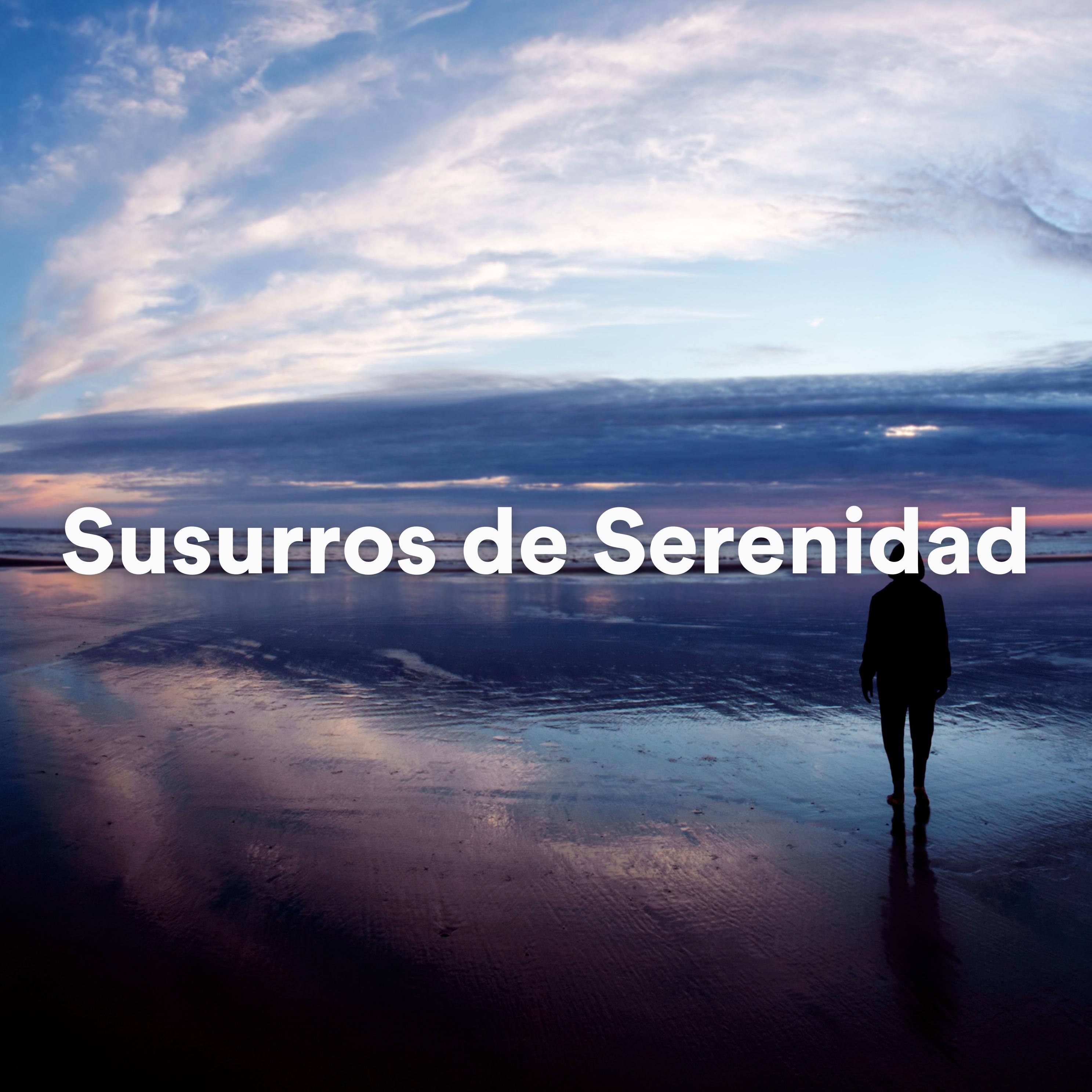 Постер альбома Susurros de Serenidad