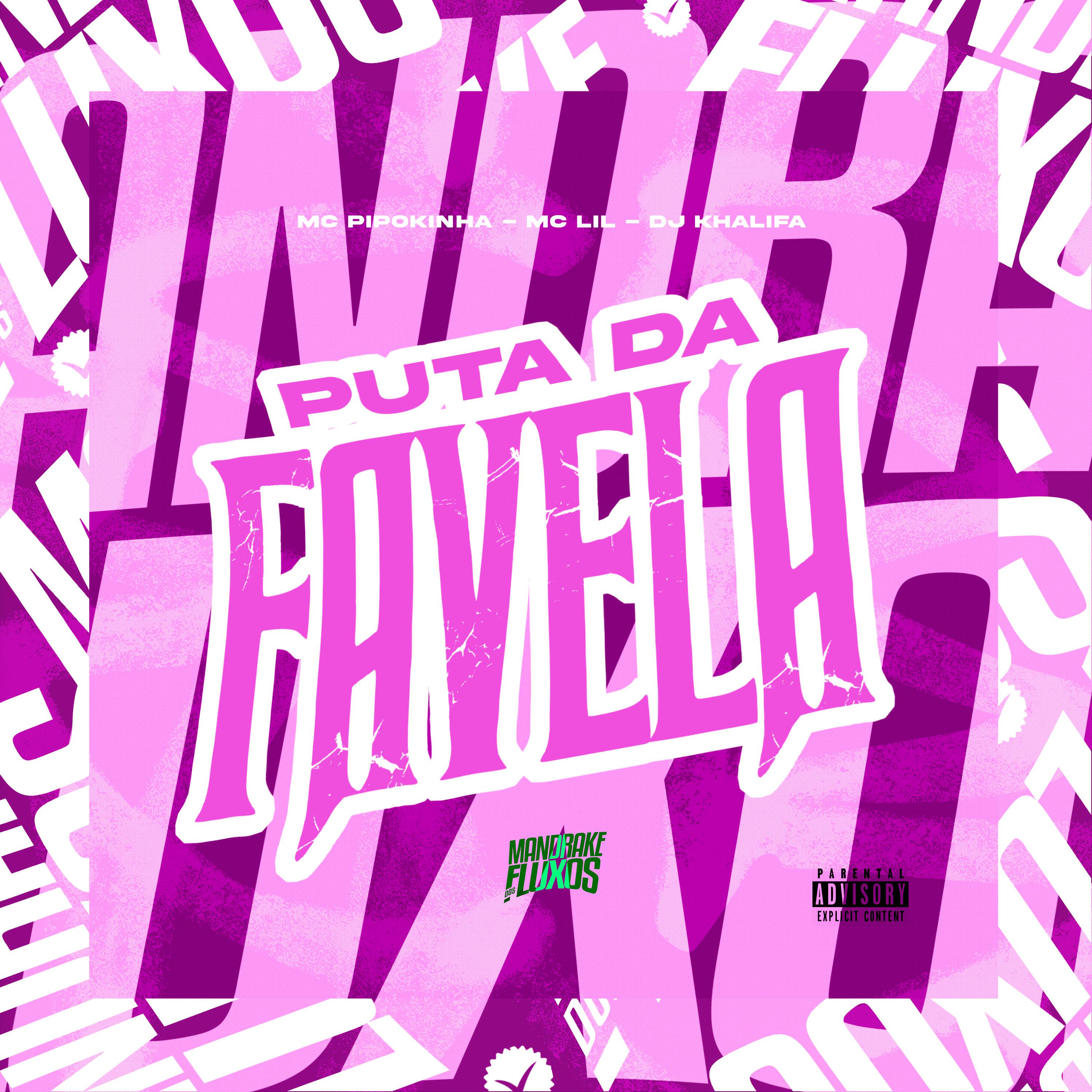 Постер альбома Puta Da Favela
