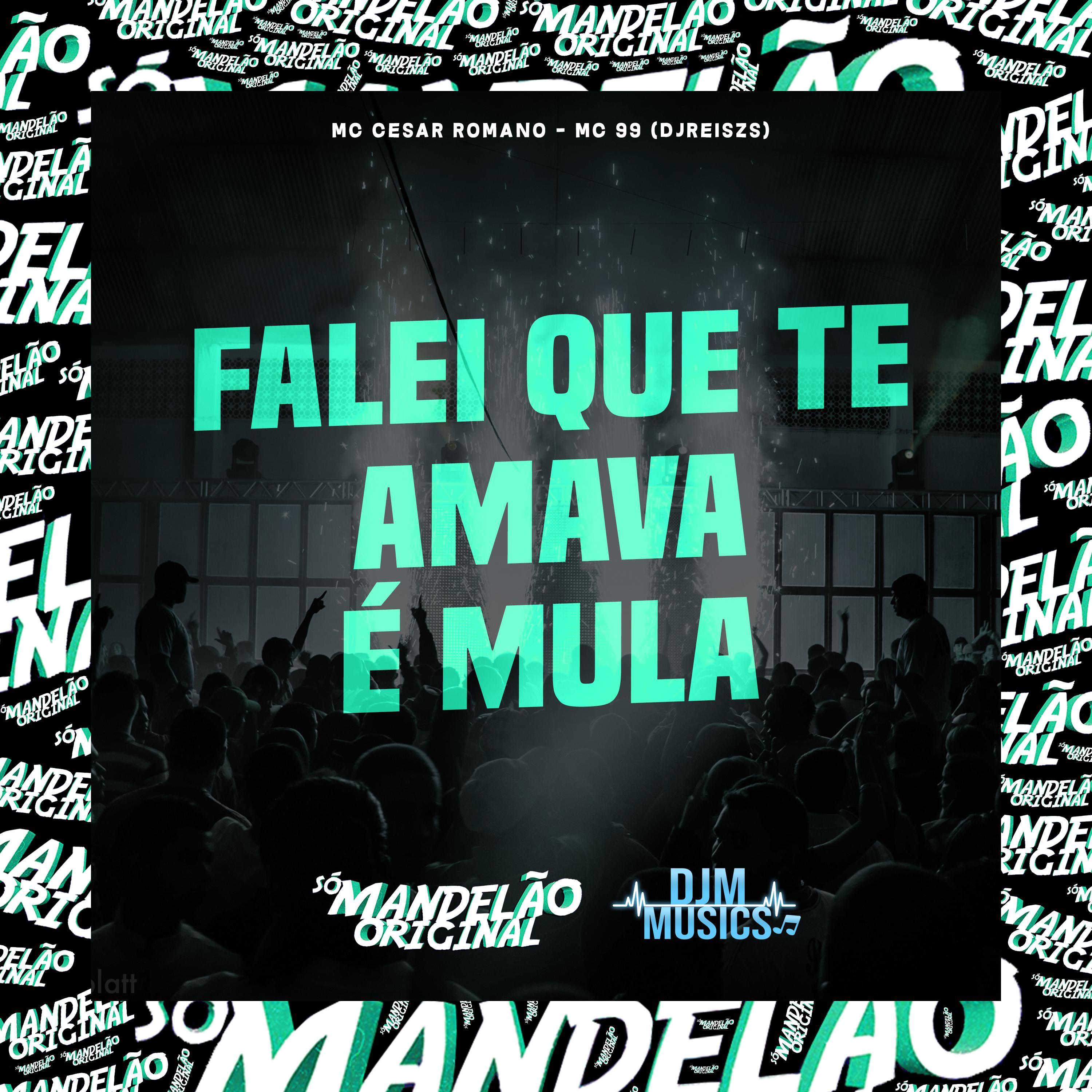 Постер альбома Falei Que Te Amava É Mula