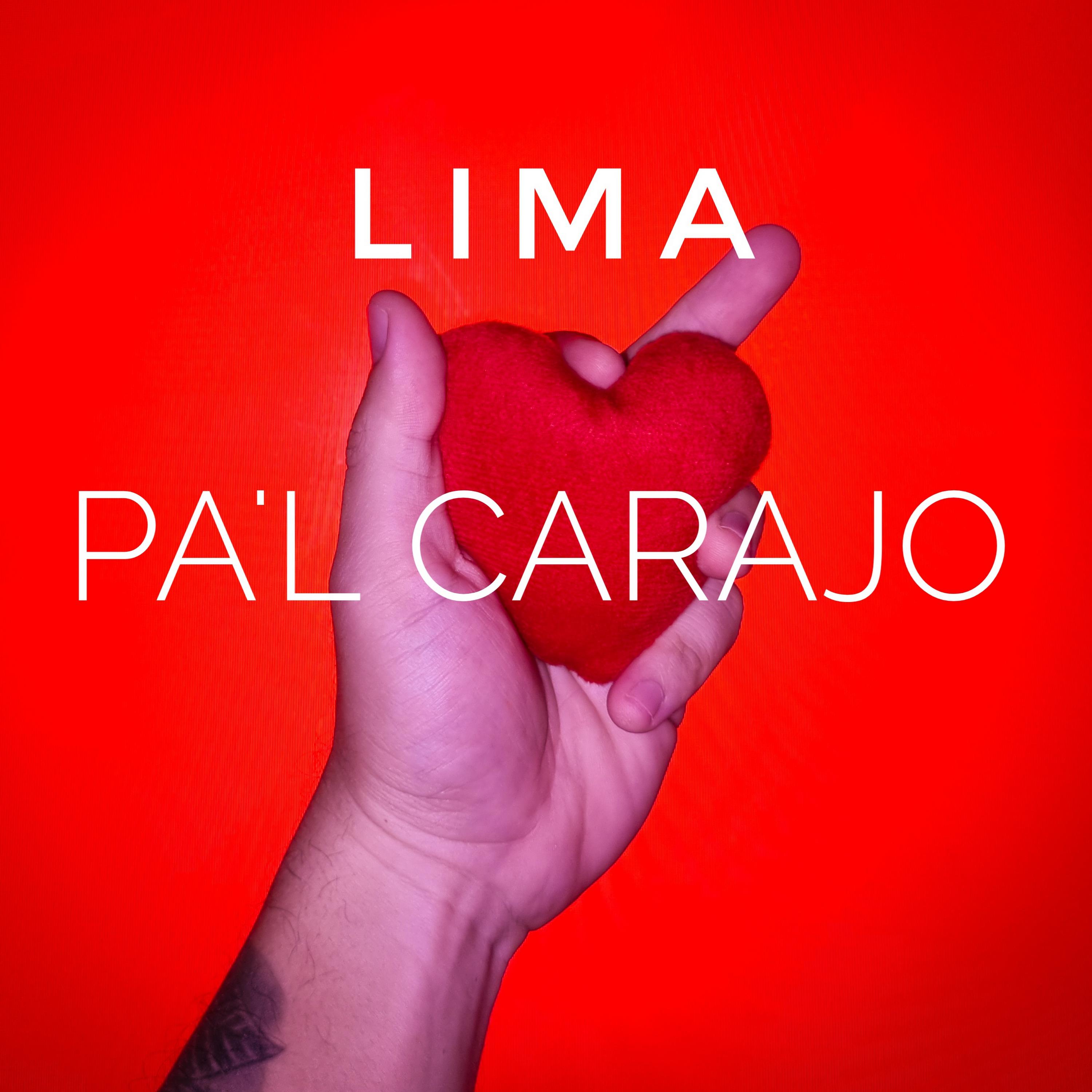 Постер альбома Pa'l Carajo