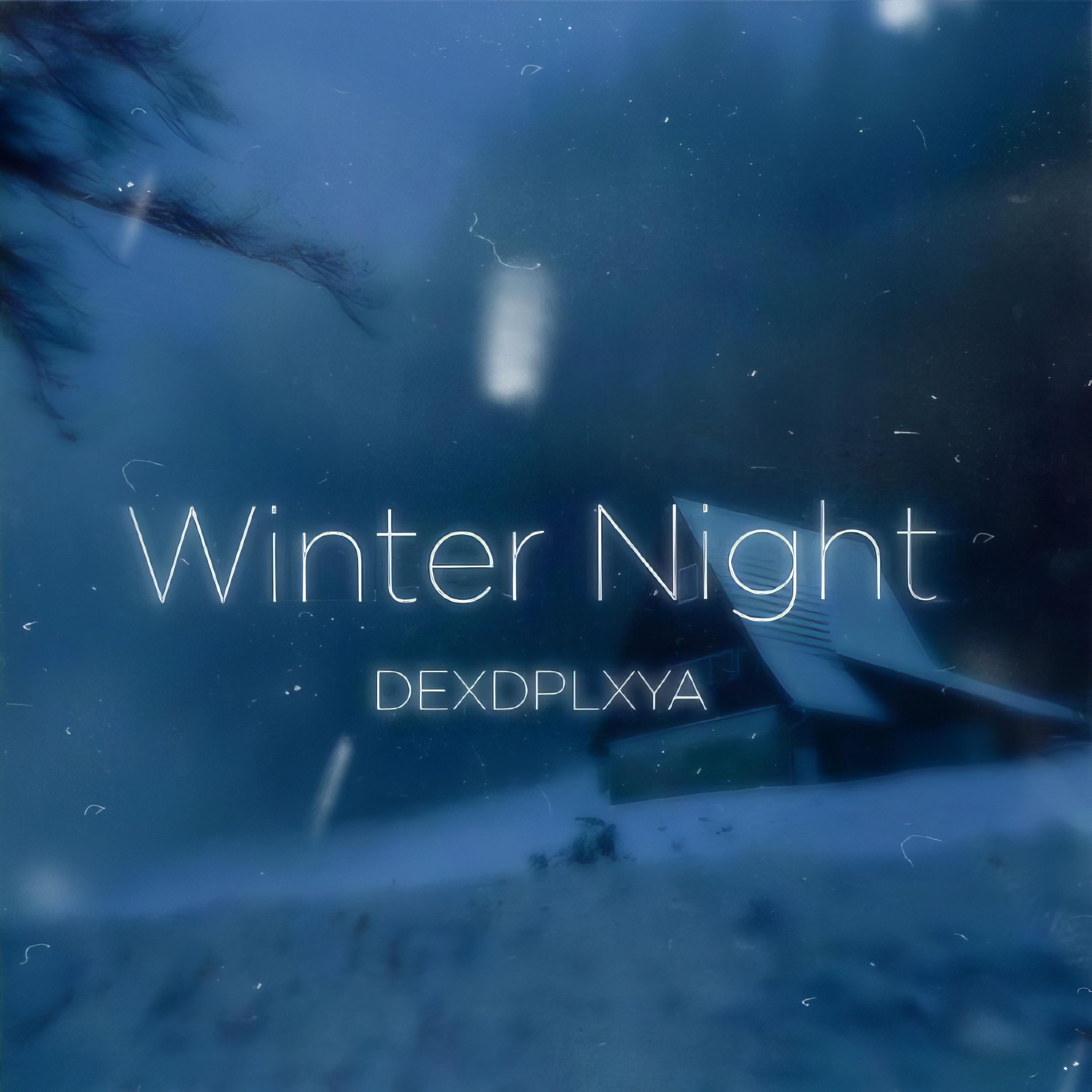 Постер альбома Winter Night