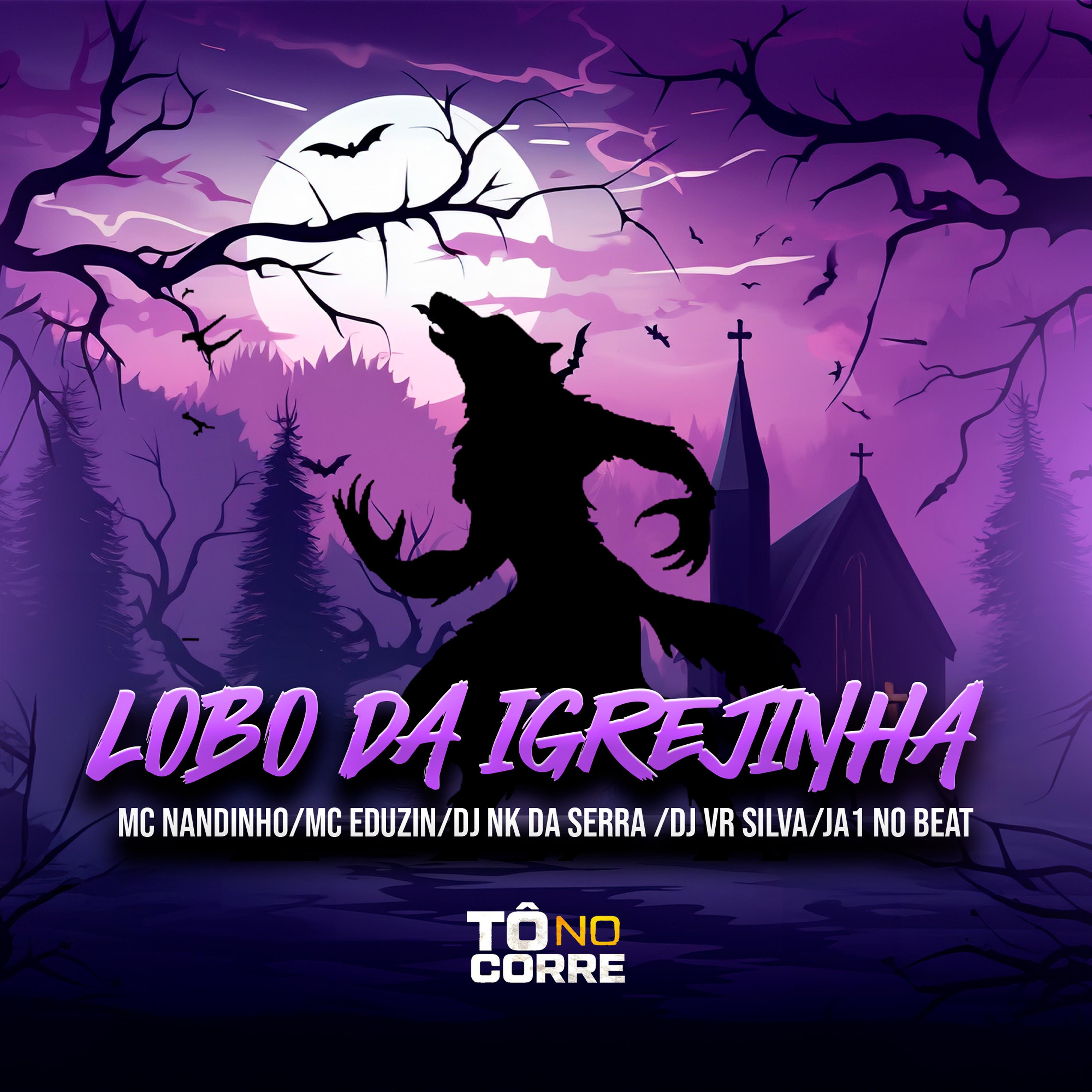 Постер альбома Lobo da Igrejinha