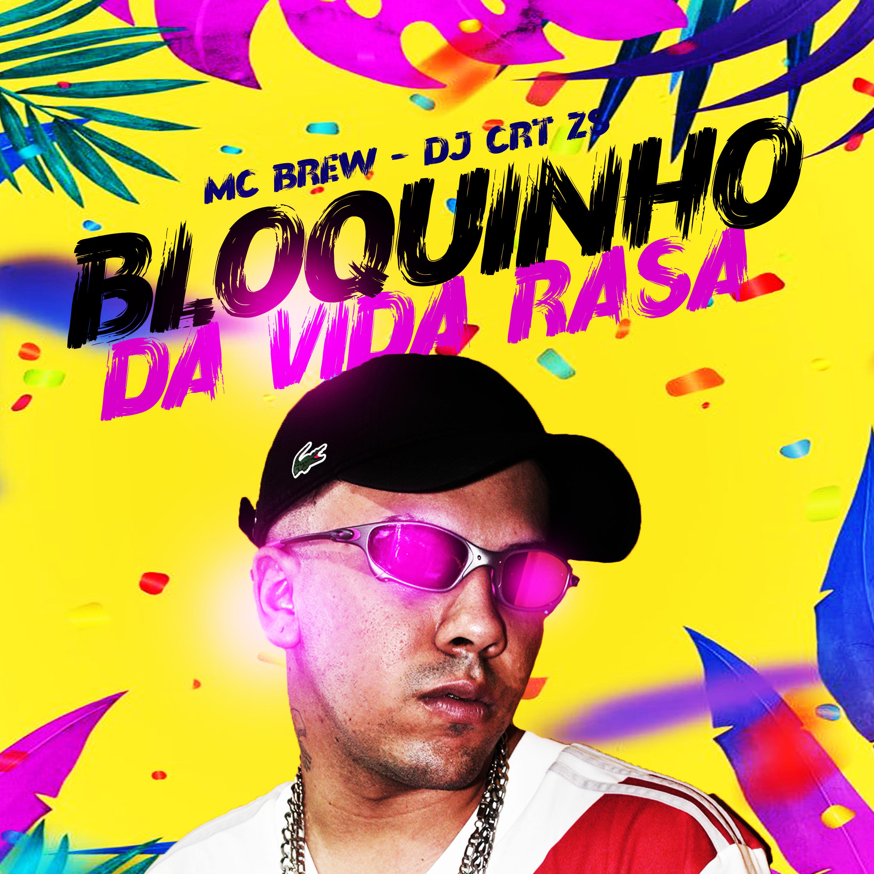 Постер альбома Bloquinho da Vida Rasa