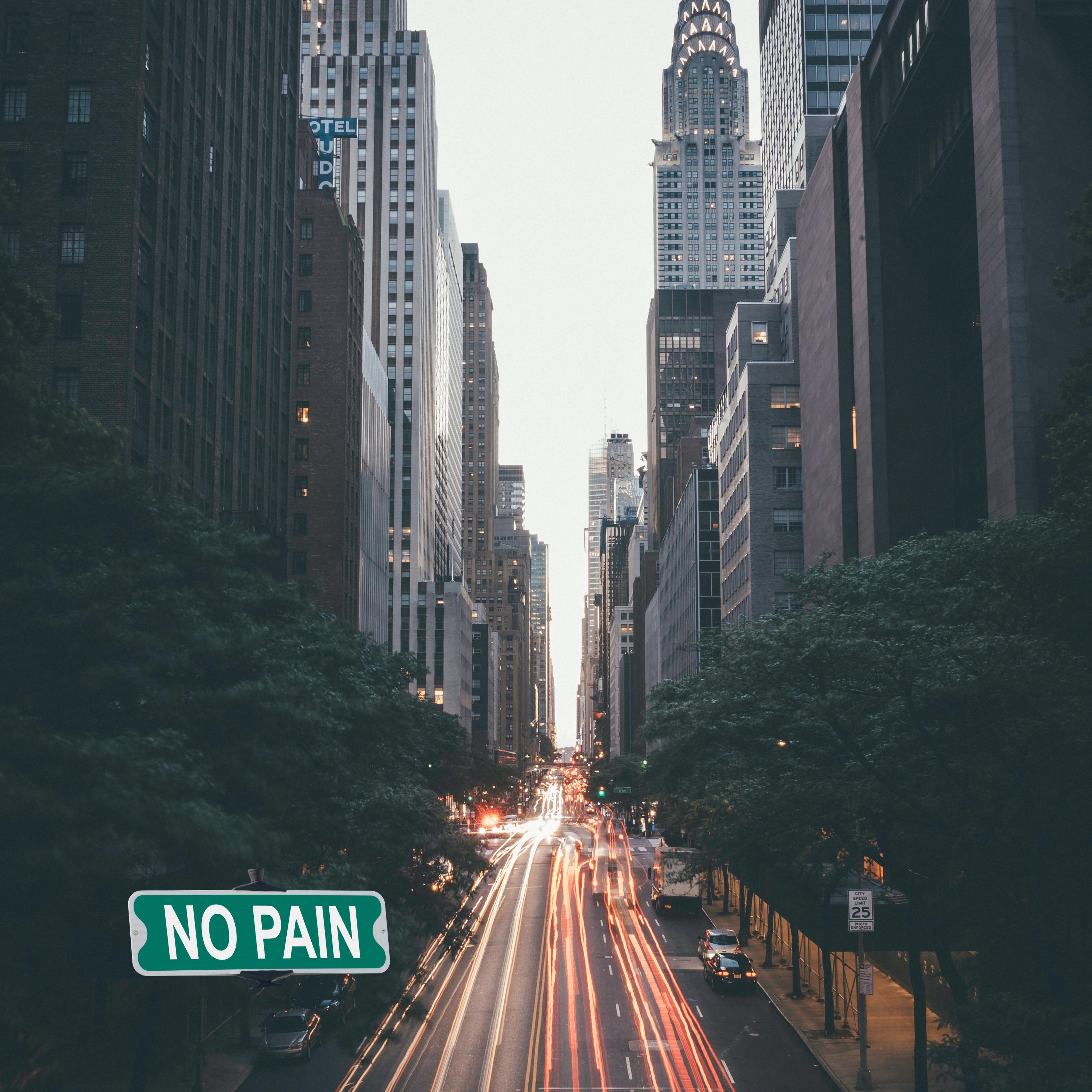 Постер альбома No Pain ( Speed Up Reverb )