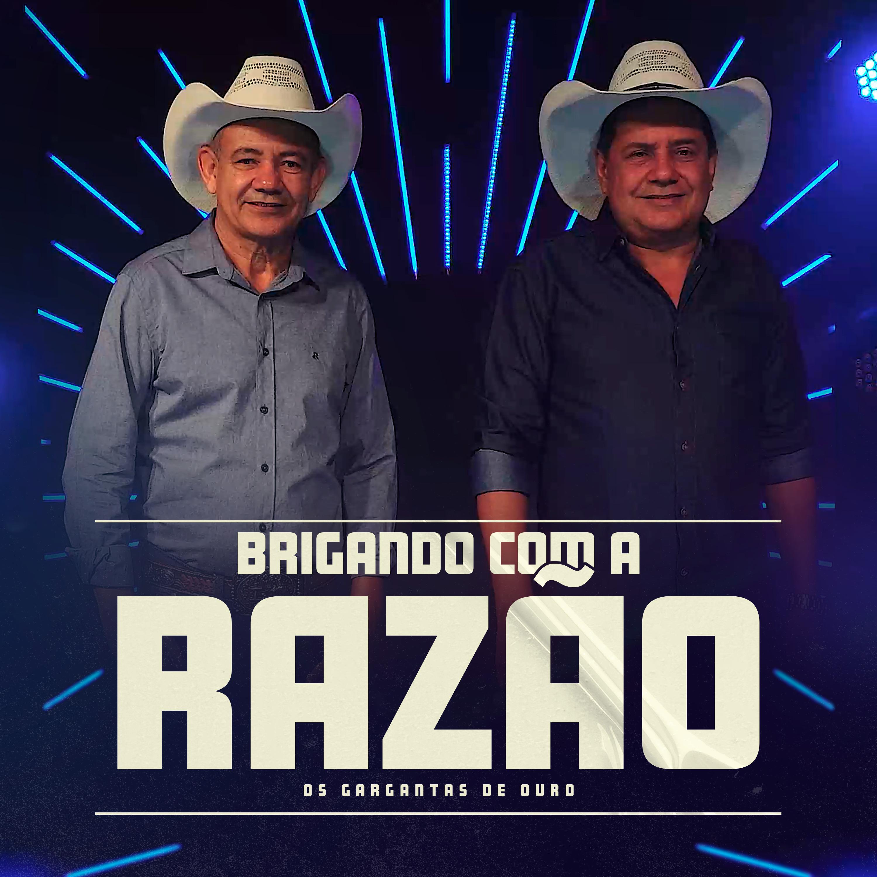 Постер альбома Brigando Com a Razão