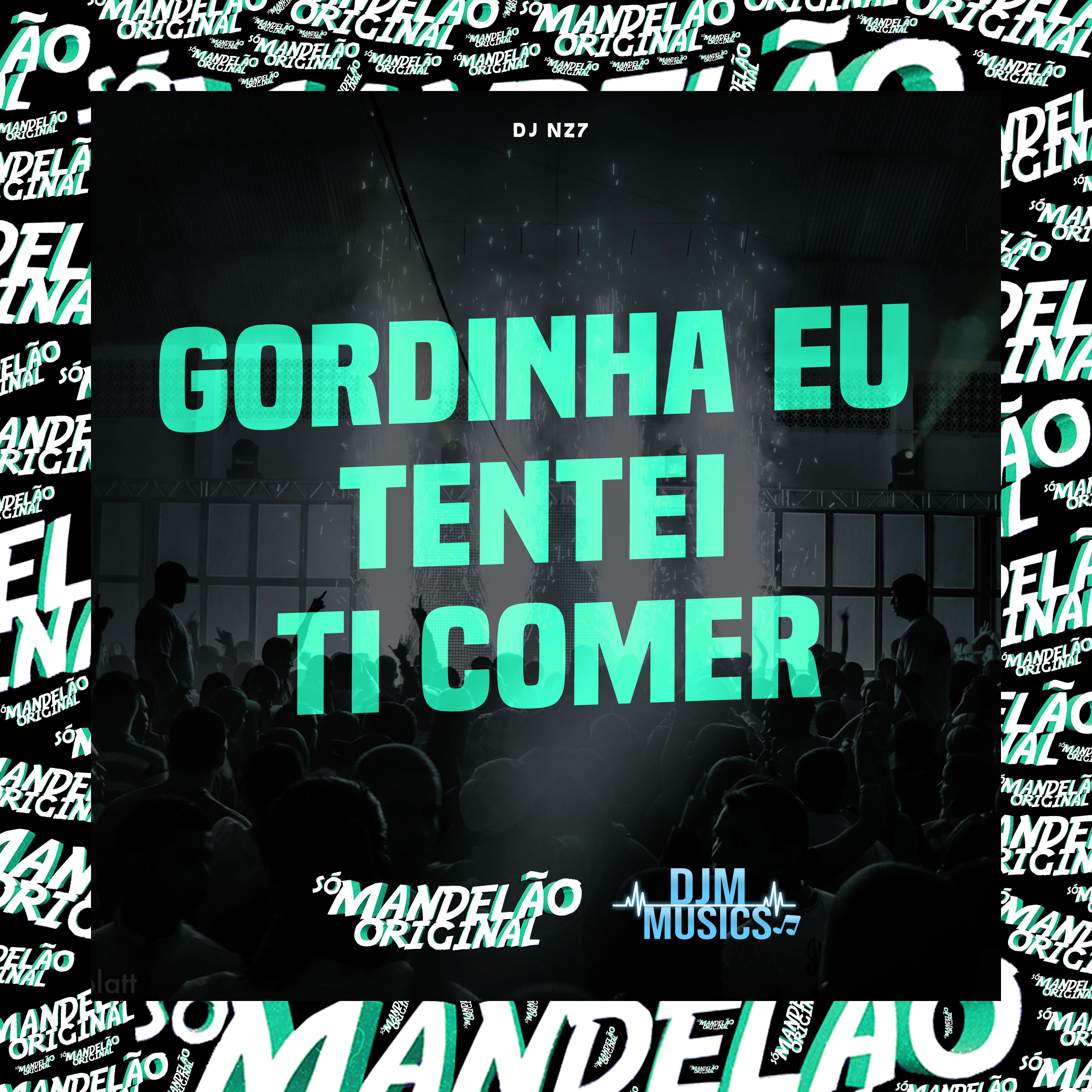Постер альбома Gordinha Eu Tentei Ti Comer