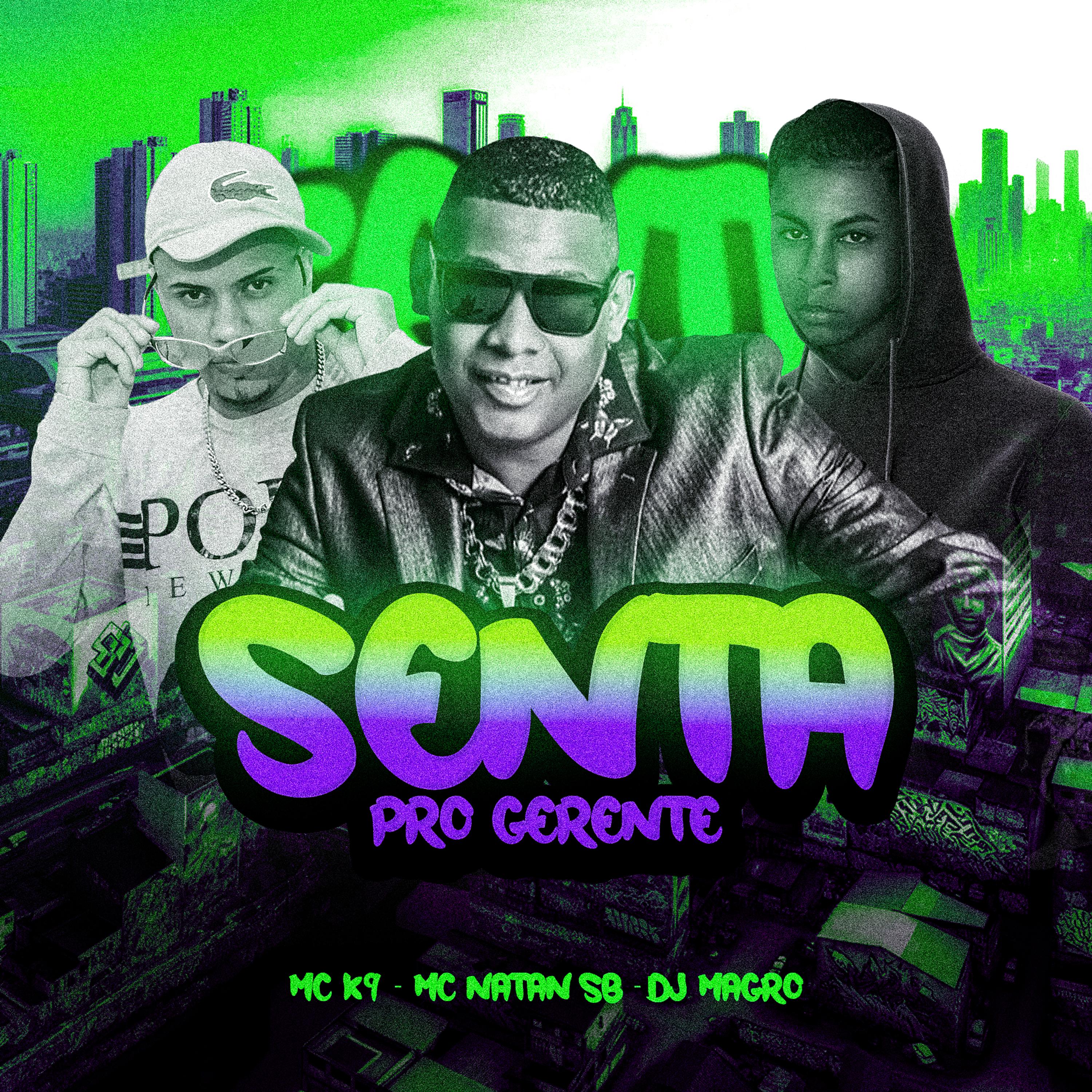 Постер альбома Senta pro Gerente